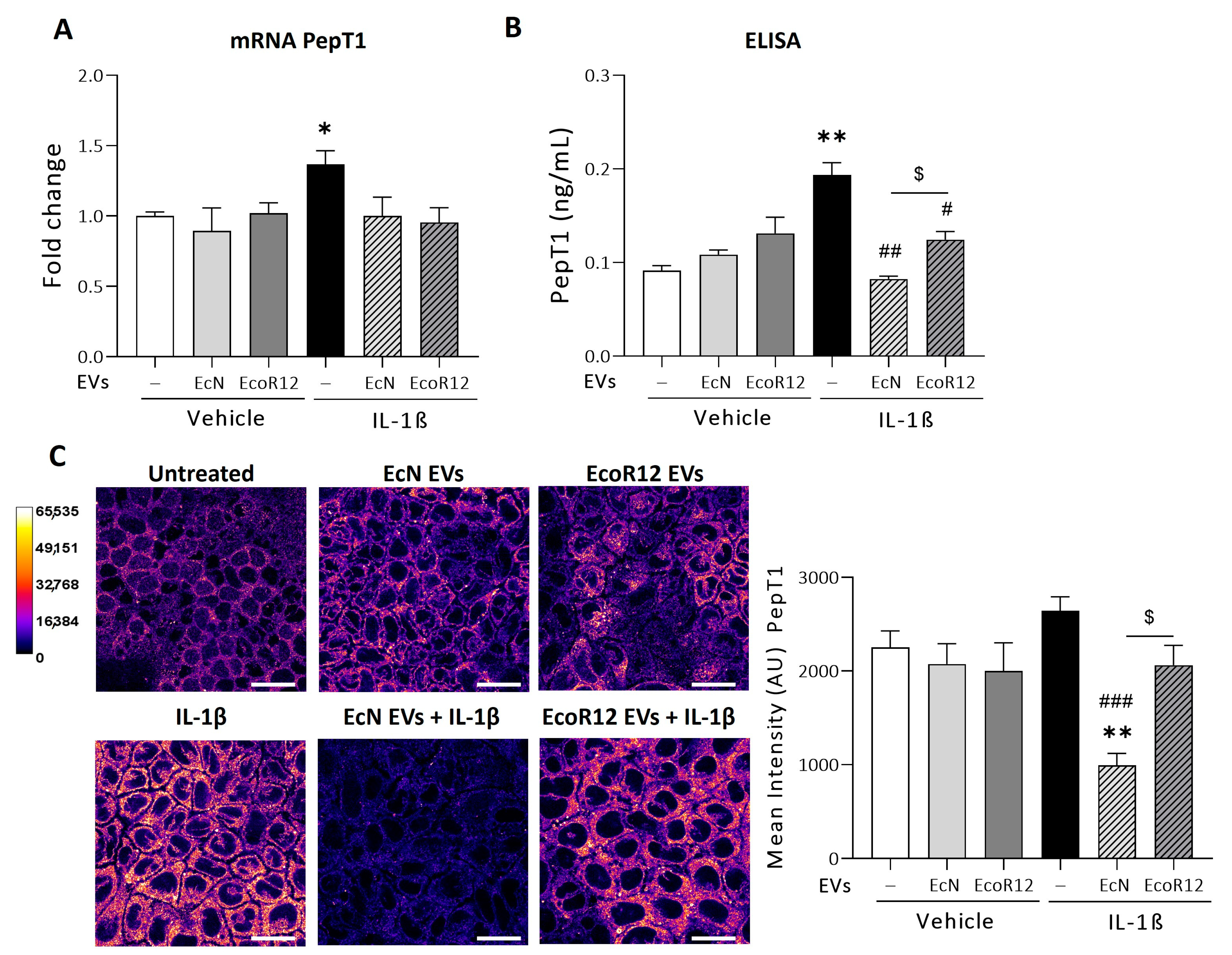 Nutrients 16 02719 g001