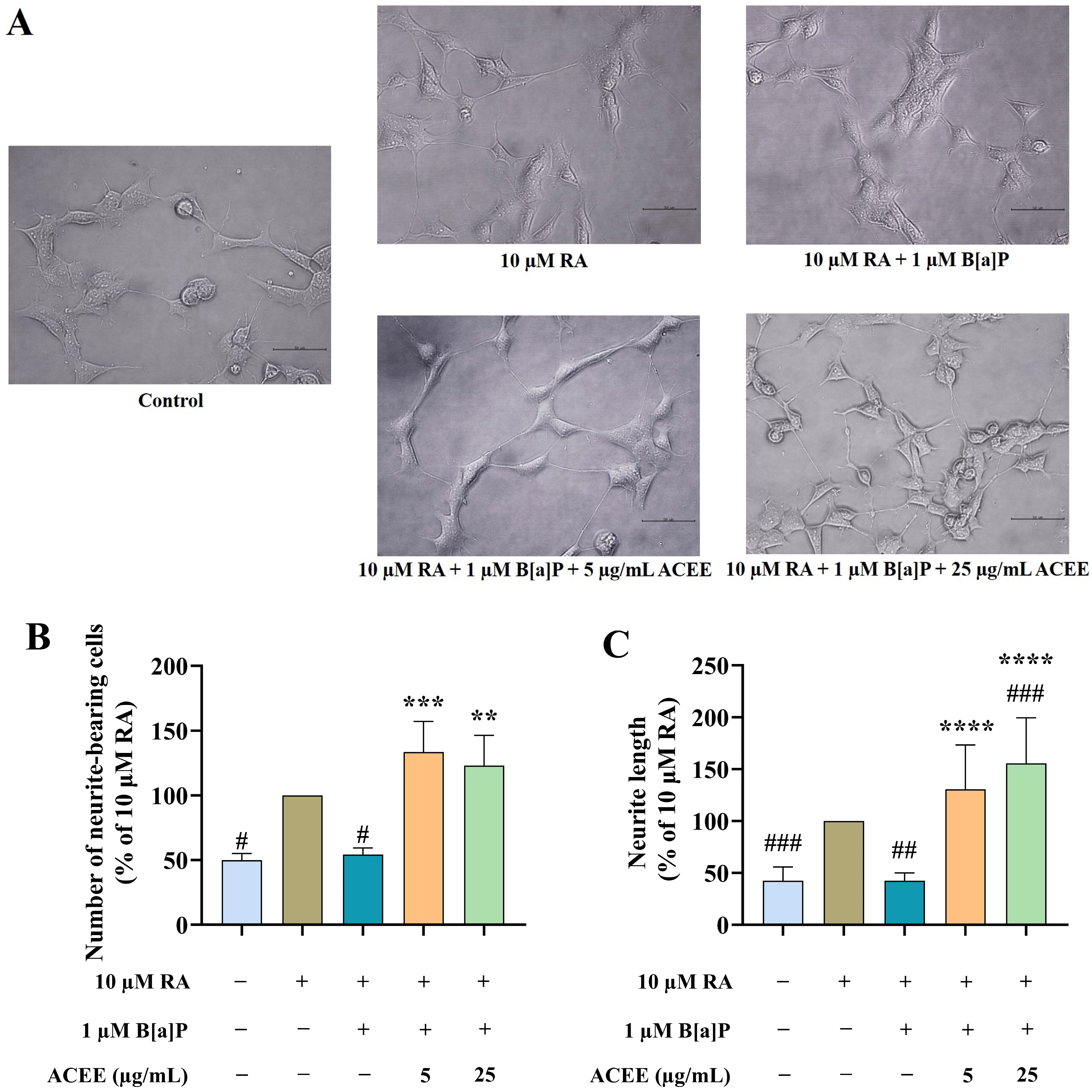 Nutrients 16 02727 g002