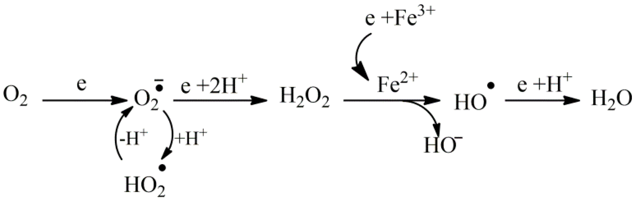 Nutrients 16 02740 g001 Nutrients 16 02740 g001