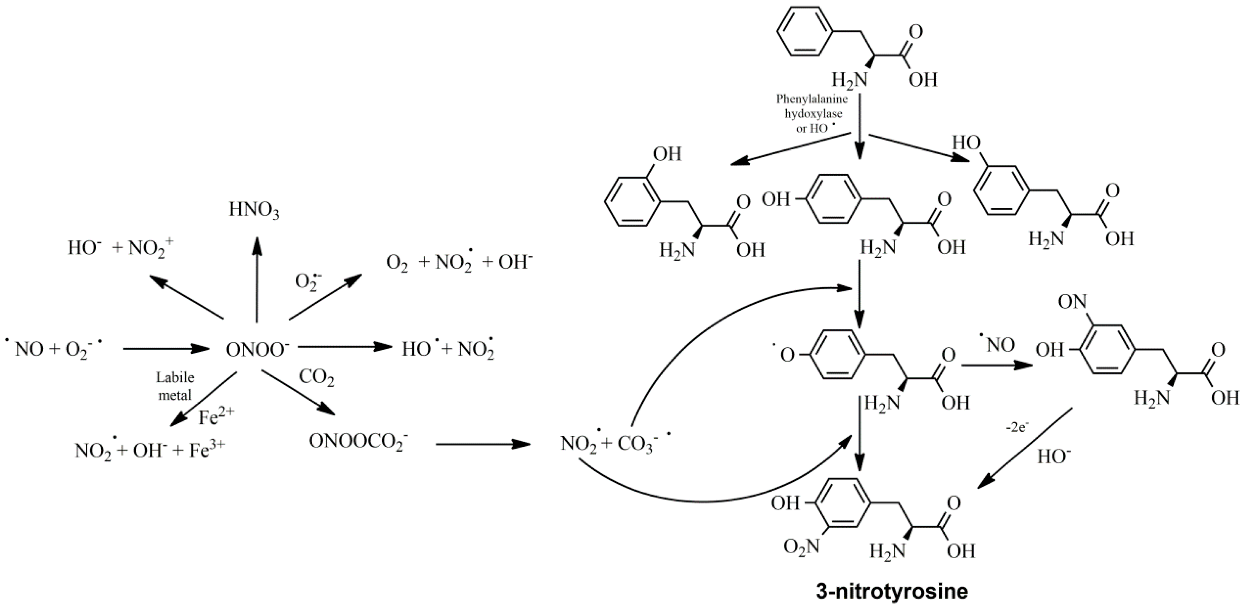 Nutrients 16 02740 g002 Nutrients 16 02740 g002