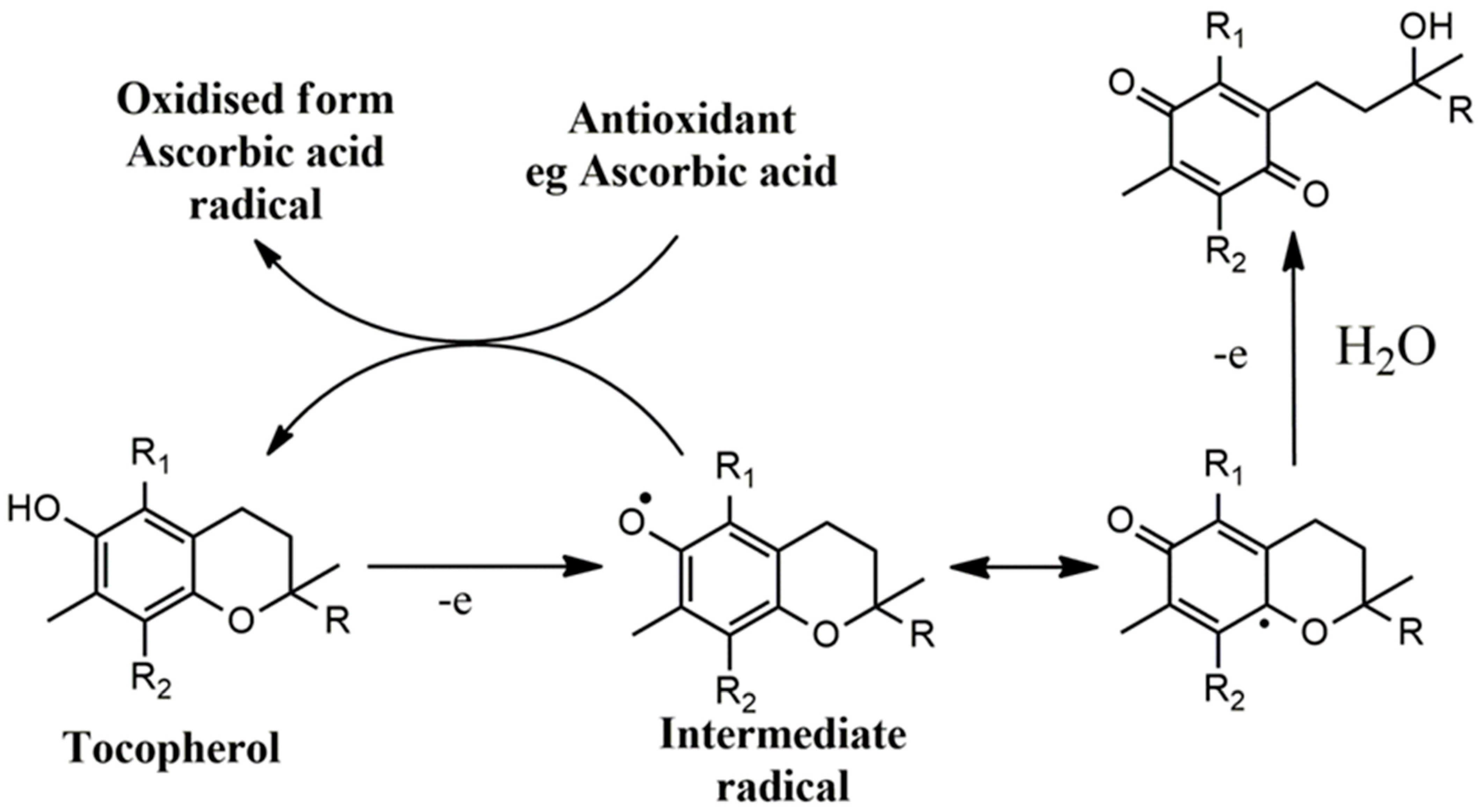 Nutrients 16 02740 g004 Nutrients 16 02740 g004