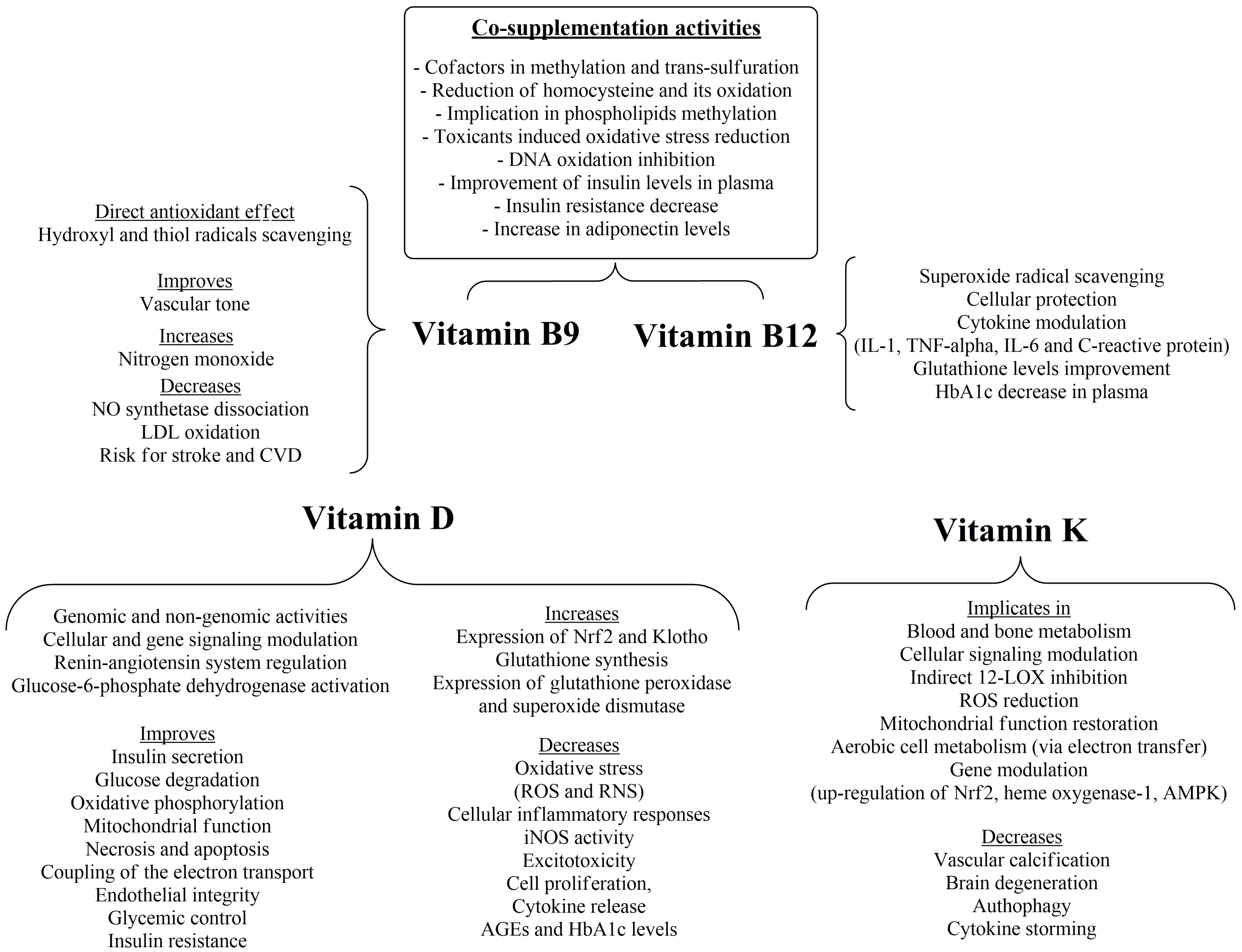 Nutrients 16 02740 g007 Nutrients 16 02740 g007