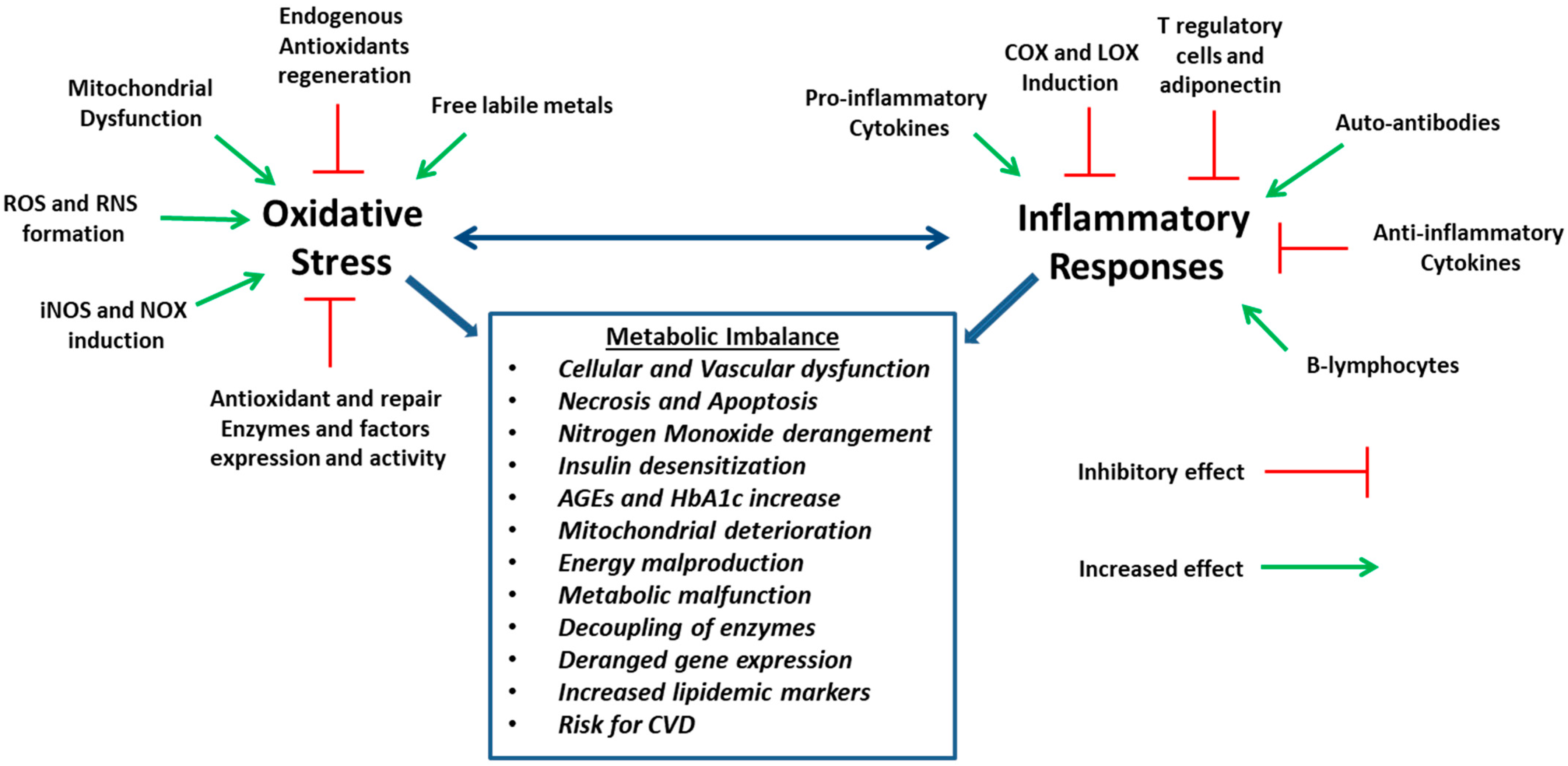 Nutrients 16 02740 g009 Nutrients 16 02740 g009
