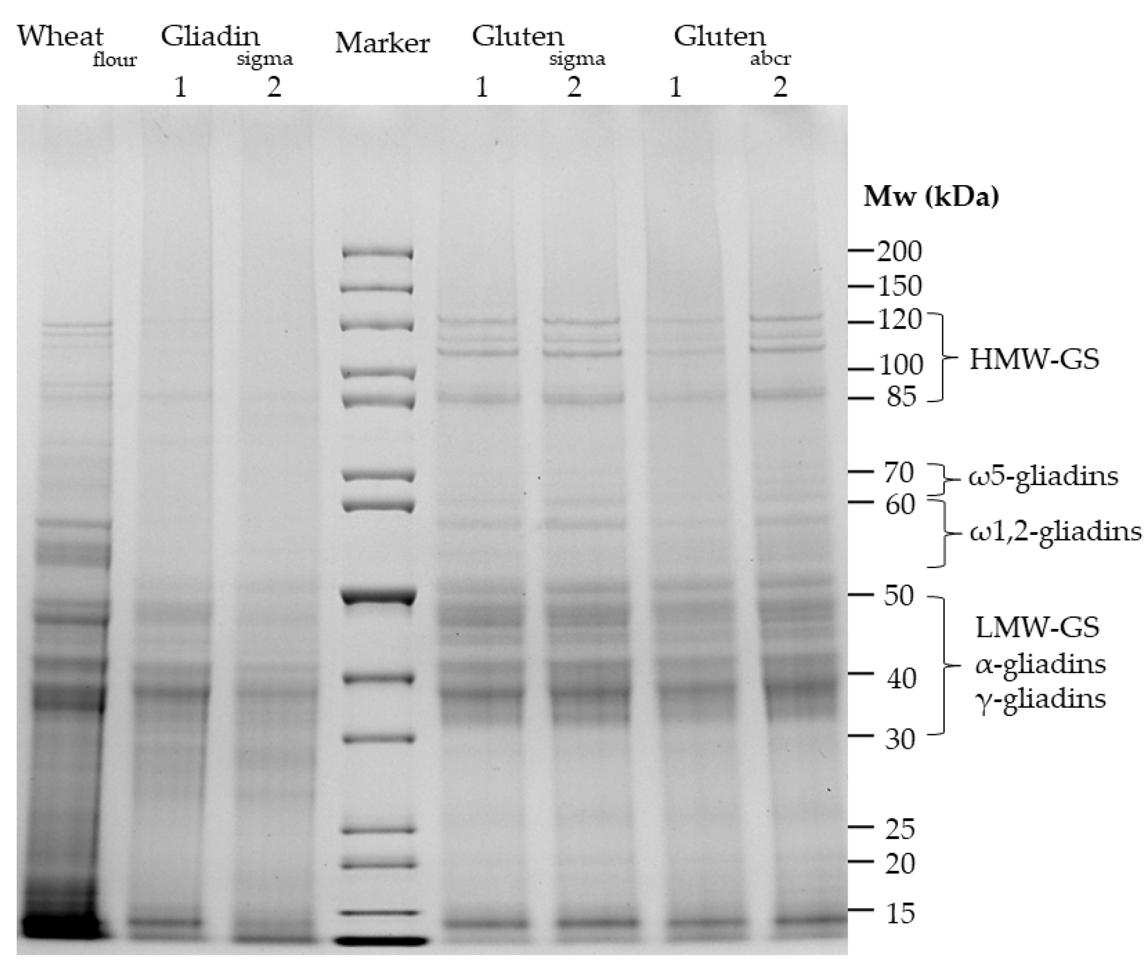 Nutrients 16 02745 g001