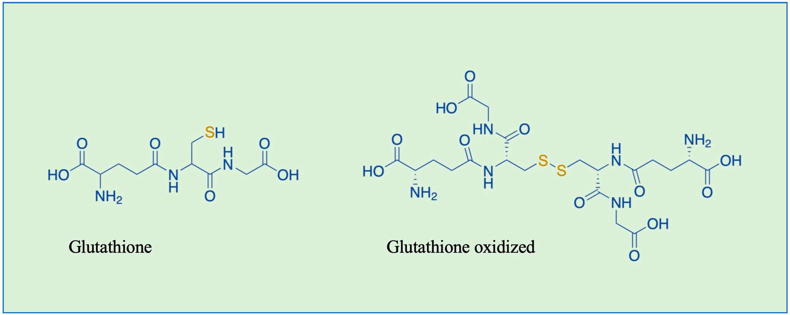 Nutrients 16 02753 g001
