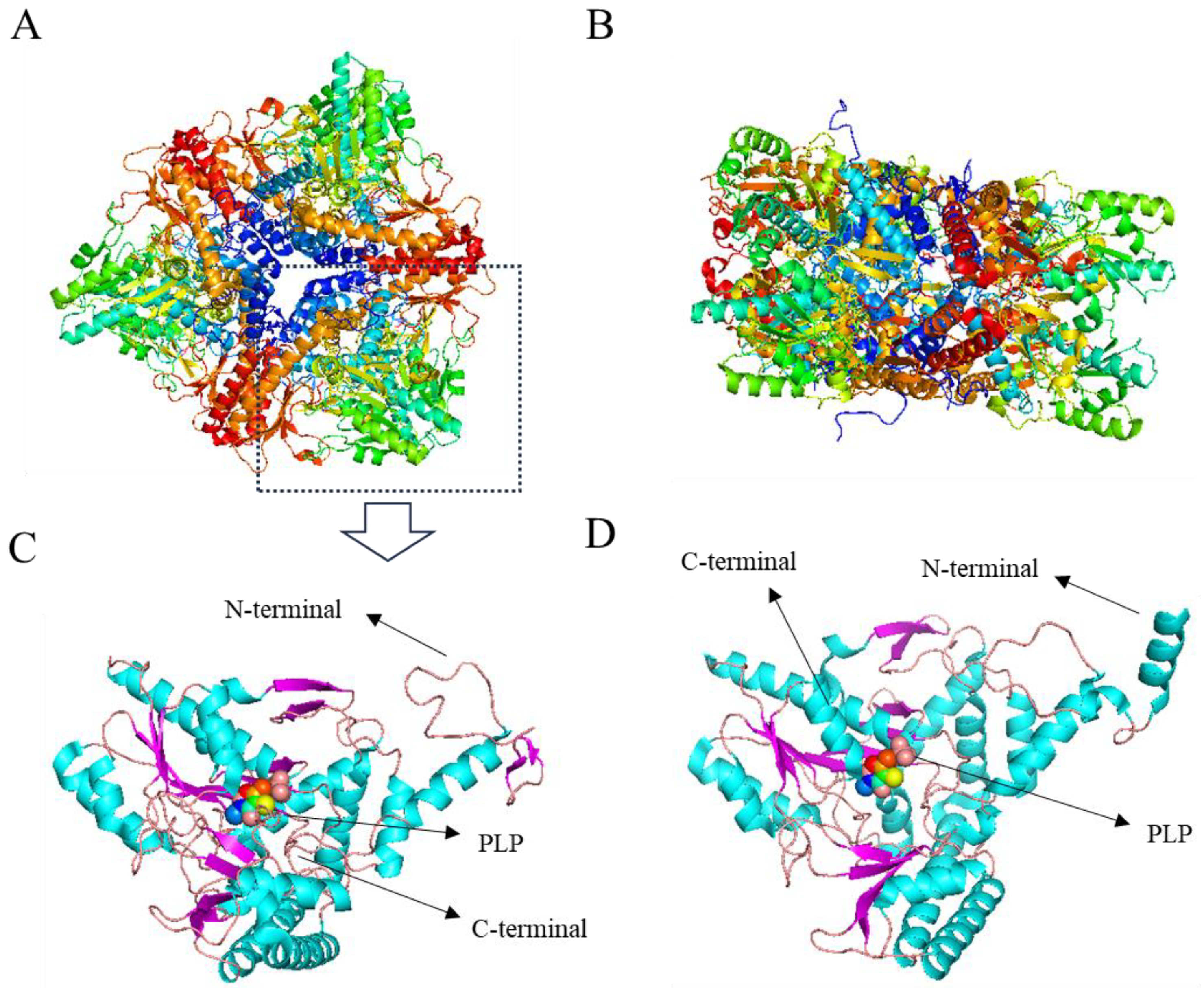 Nutrients 16 02760 g002