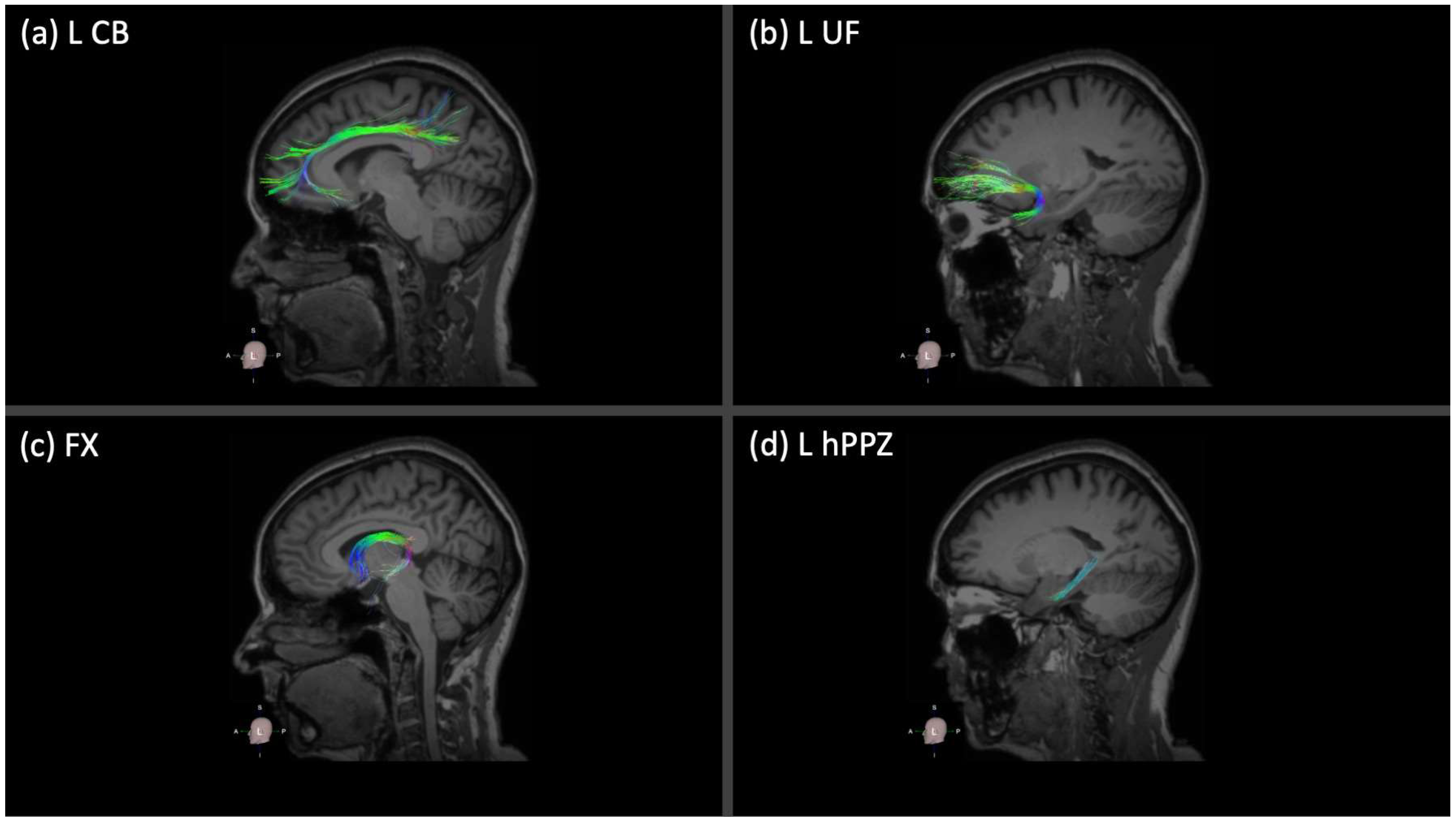 Nutrients 16 02766 g001