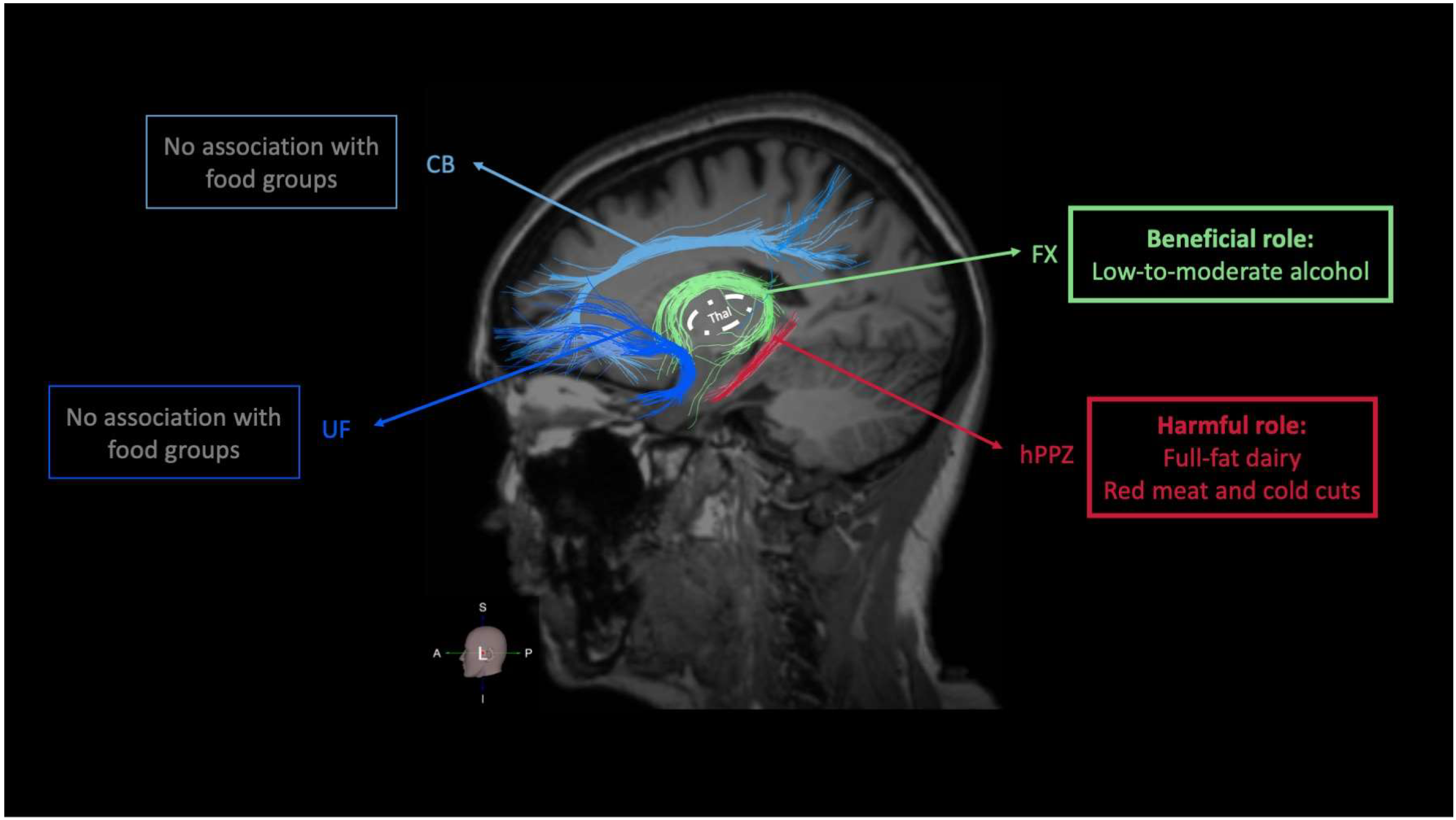 Nutrients 16 02766 g003