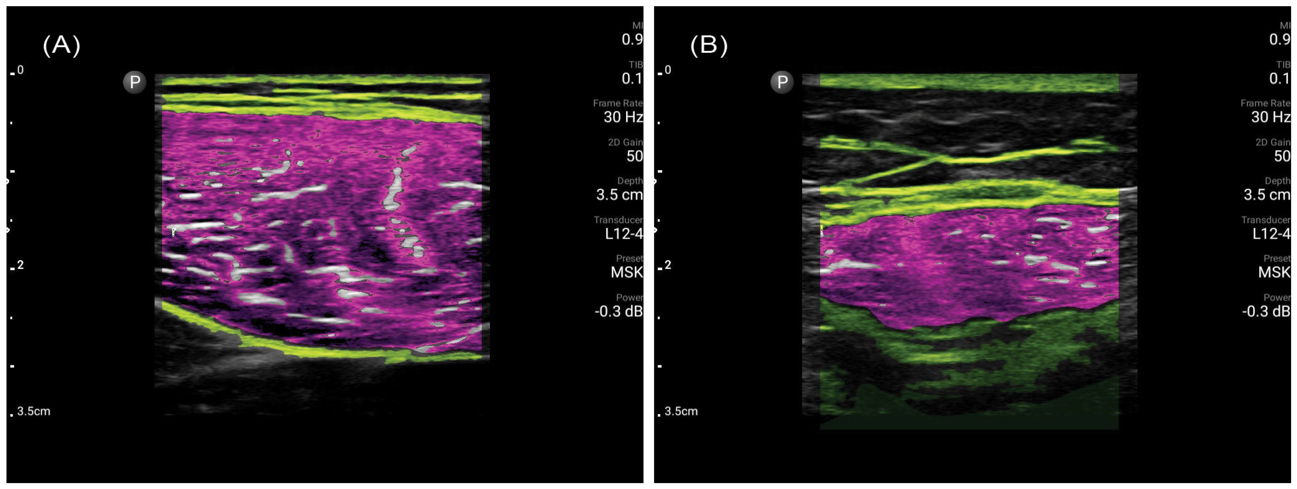 Nutrients 16 02768 g001