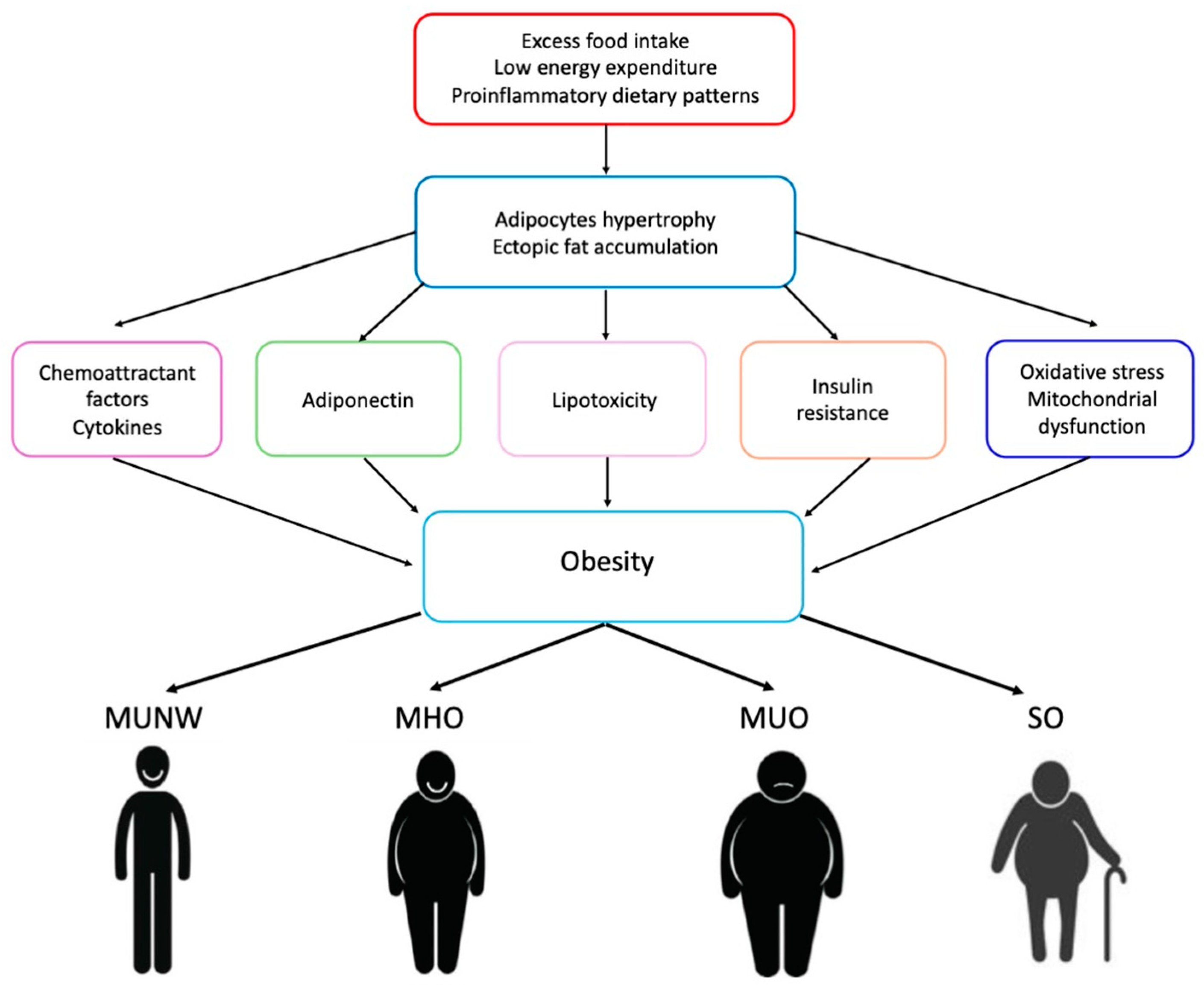 Nutrients 16 02781 g001 Nutrients 16 02781 g001