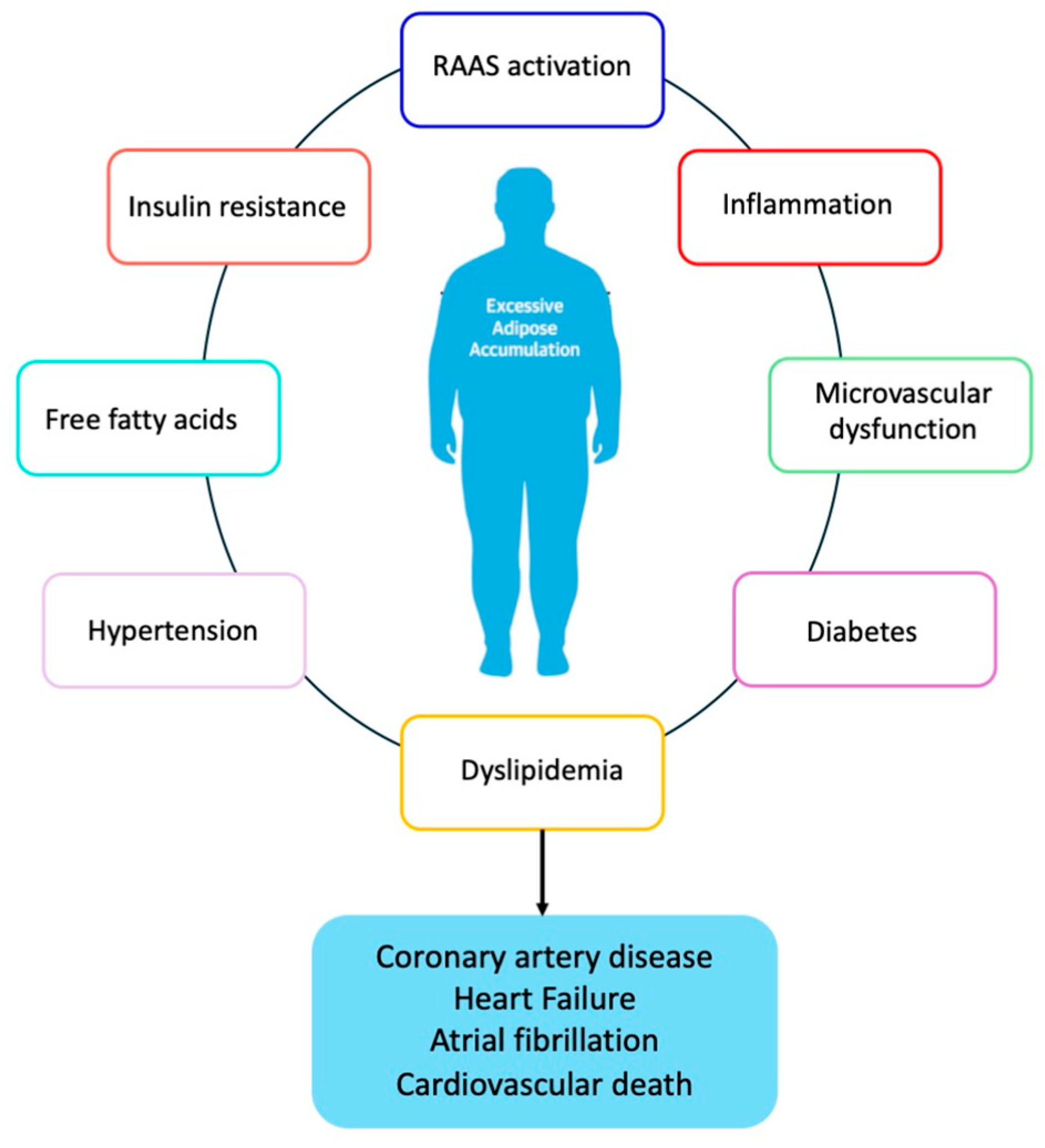 Nutrients 16 02781 g002 Nutrients 16 02781 g002