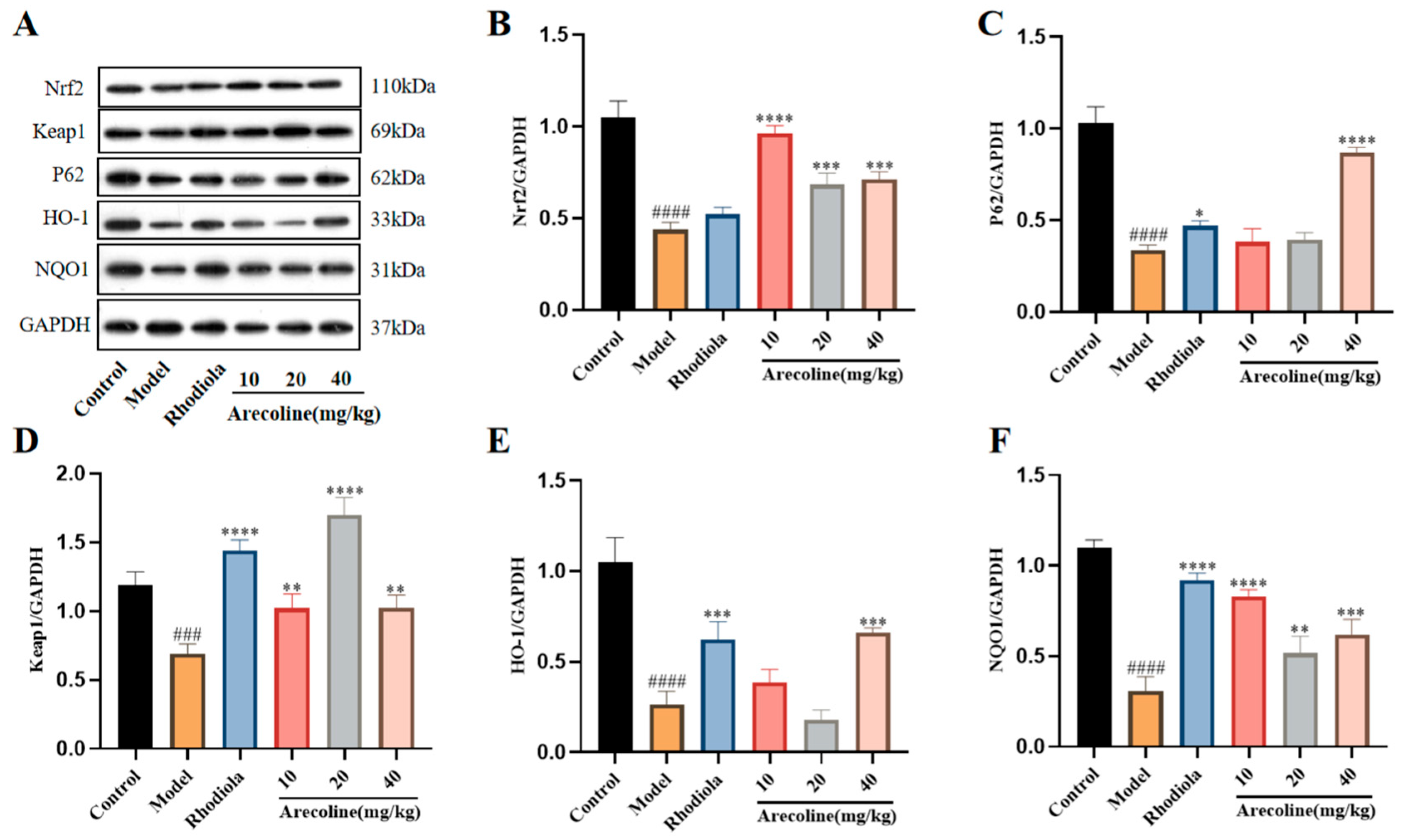 Nutrients 16 02783 g008