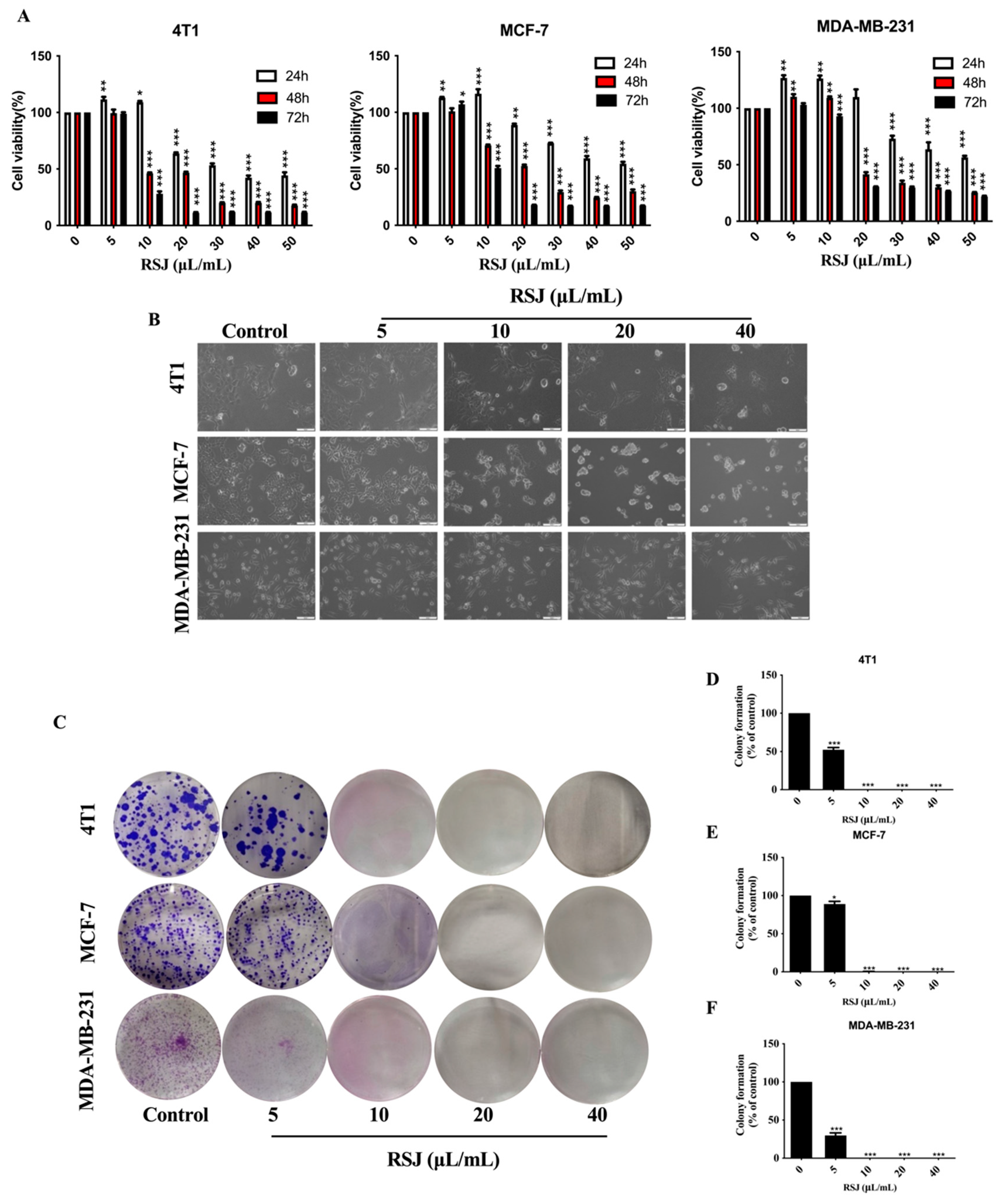 Nutrients 16 02784 g001