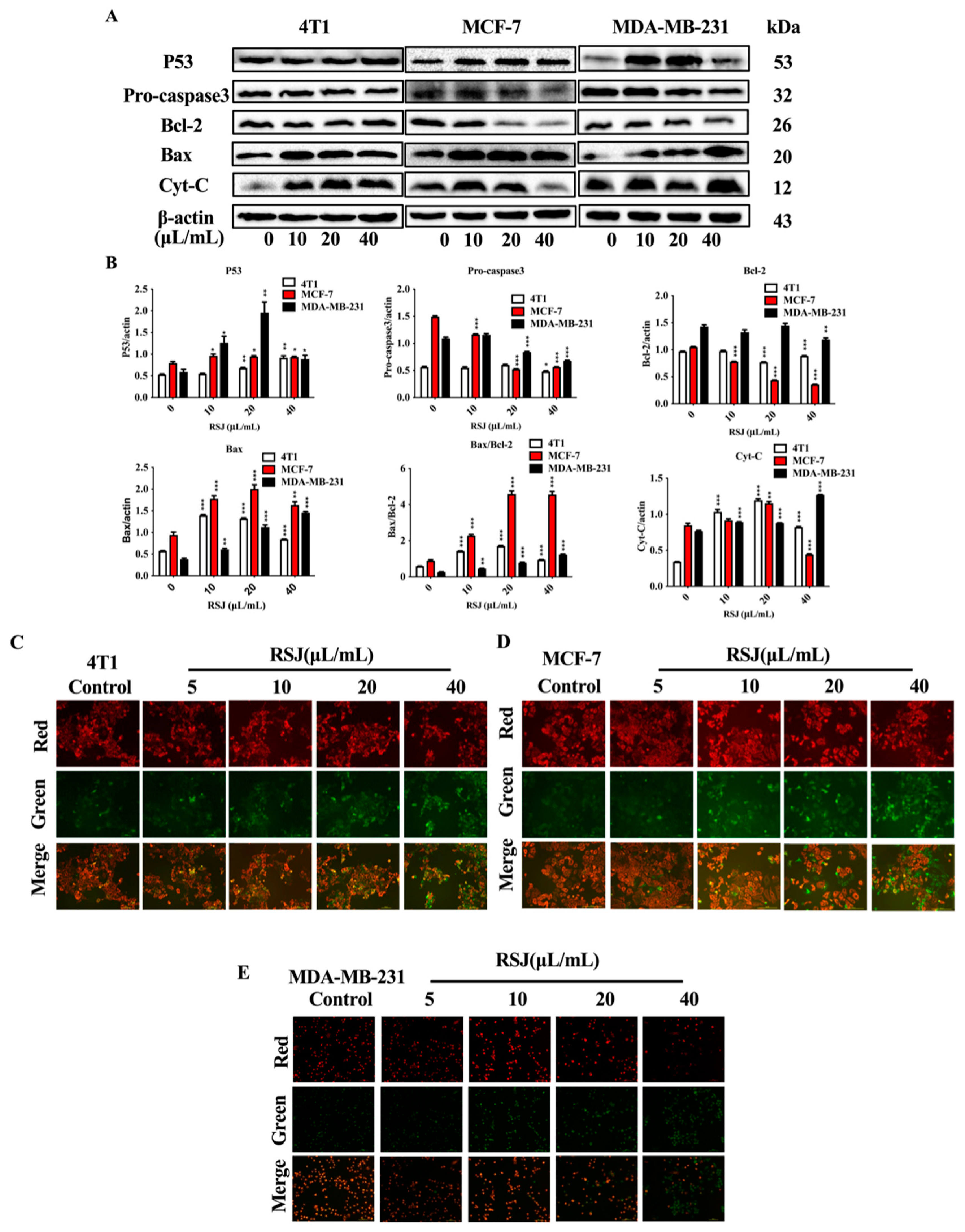 Nutrients 16 02784 g003