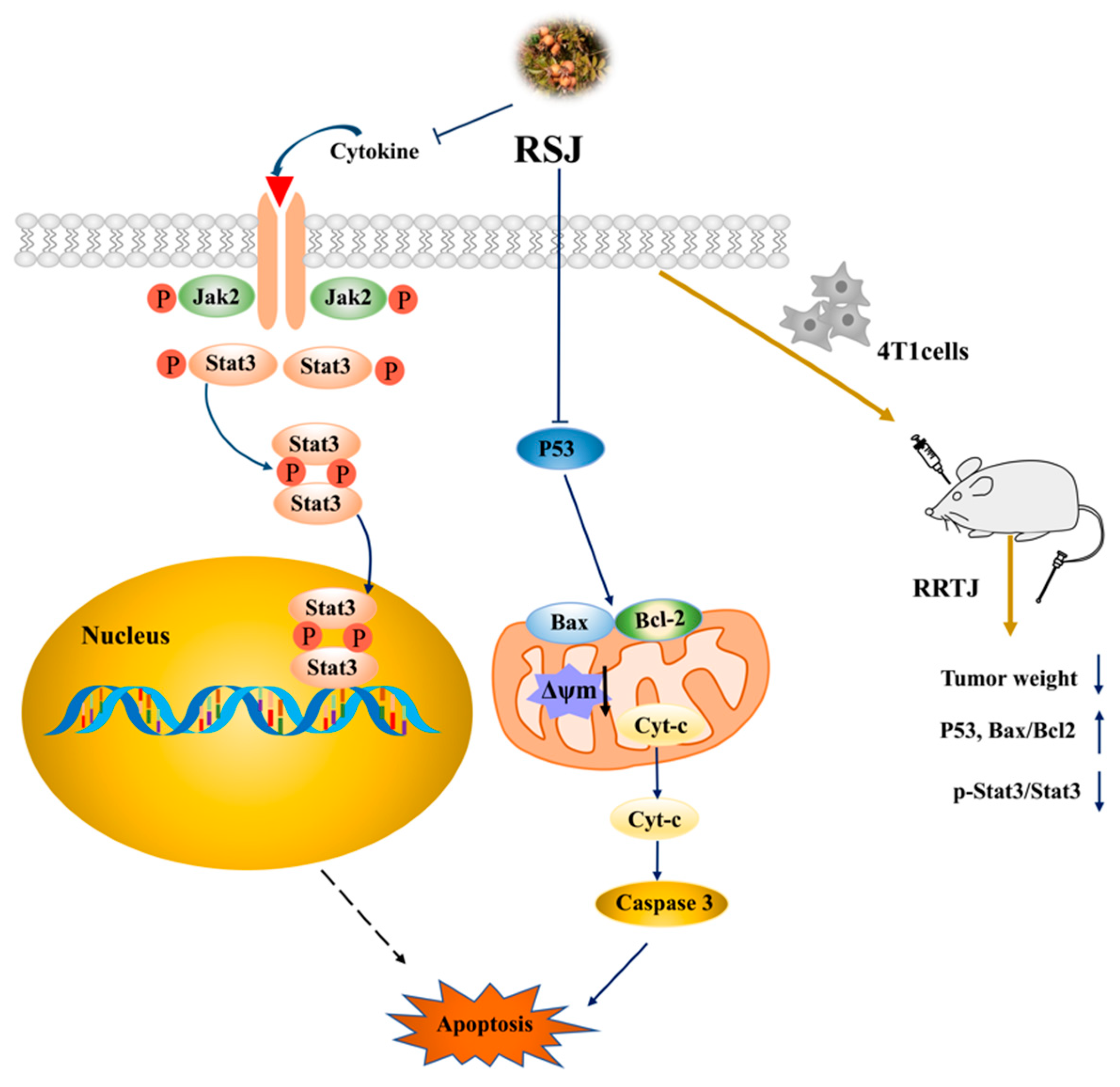 Nutrients 16 02784 g007