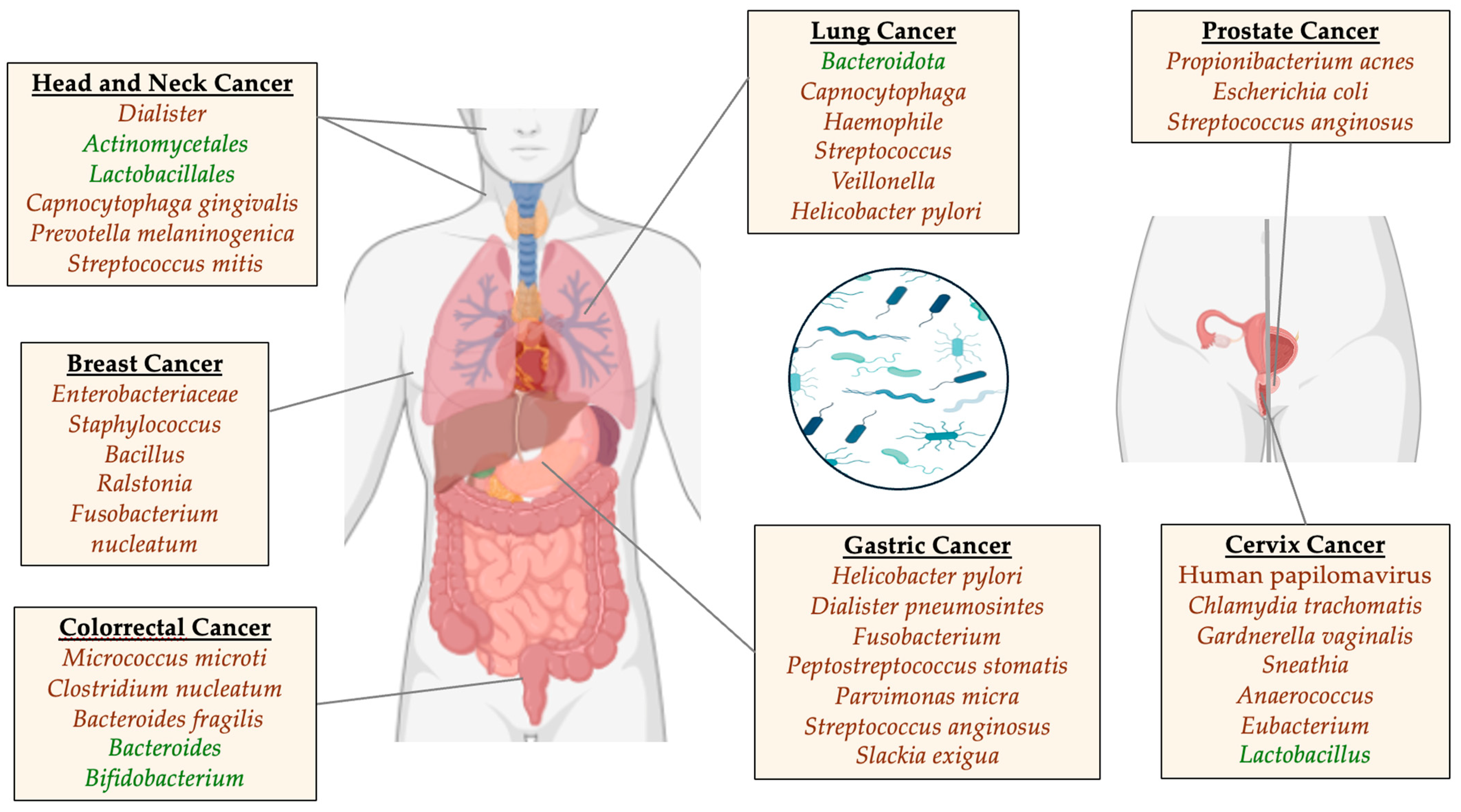 Nutrients 16 02790 g001