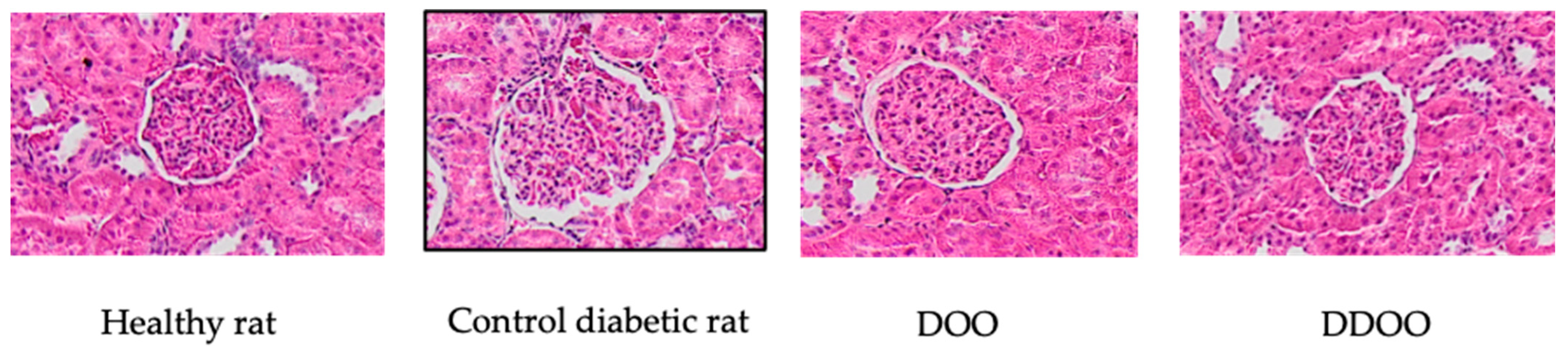 Nutrients 16 02794 g002