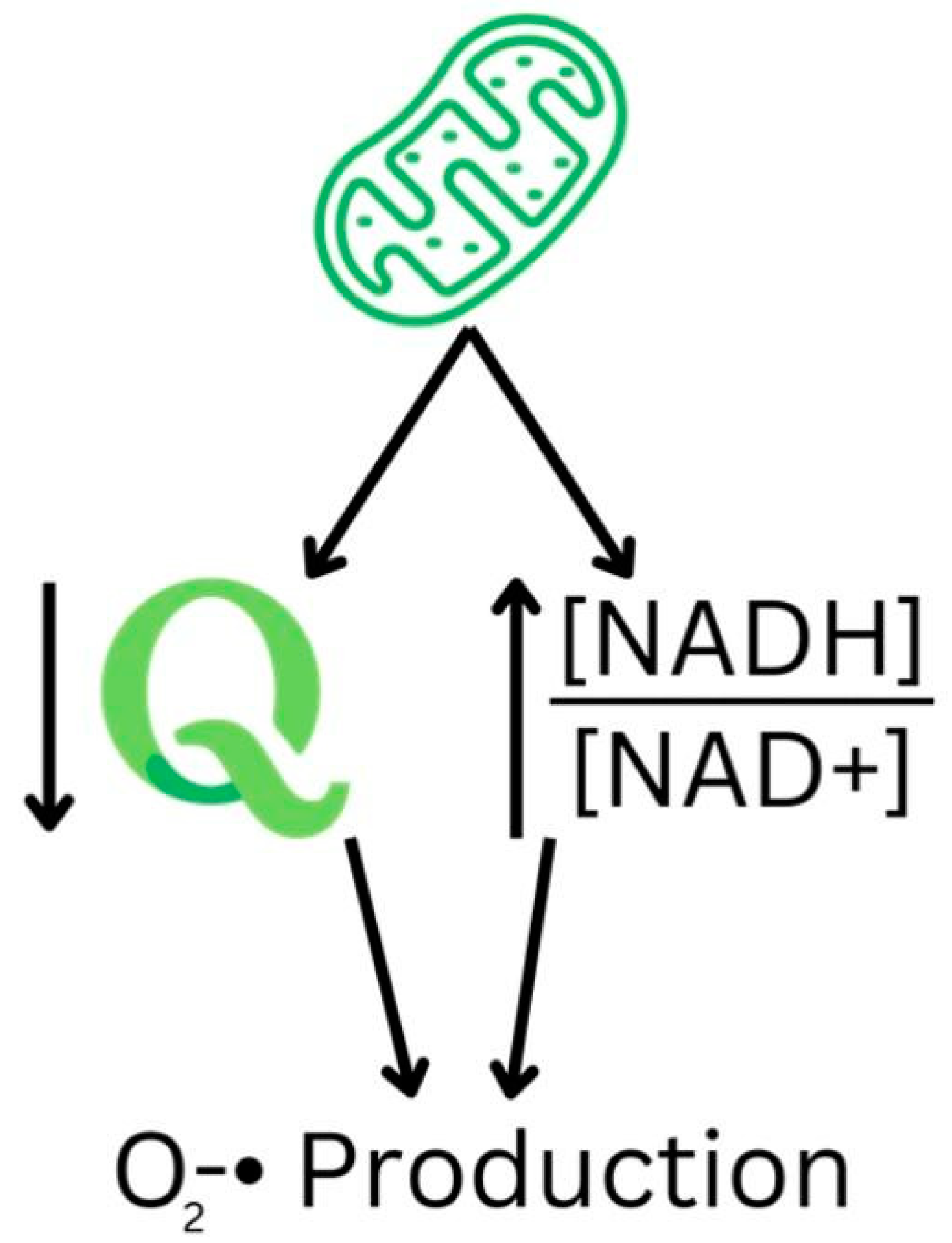 Nutrients 16 02795 g001