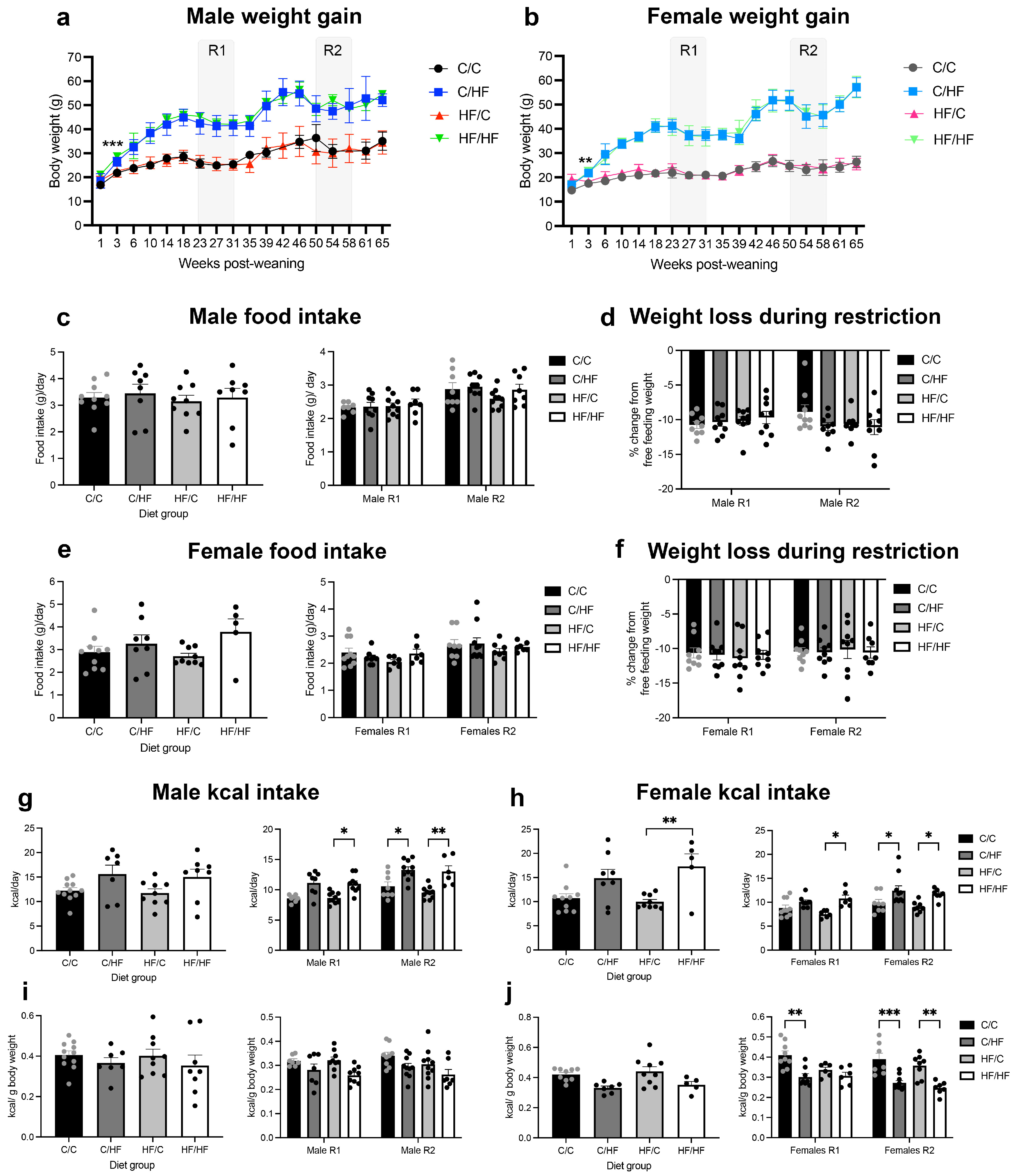 Nutrients 16 02805 g001