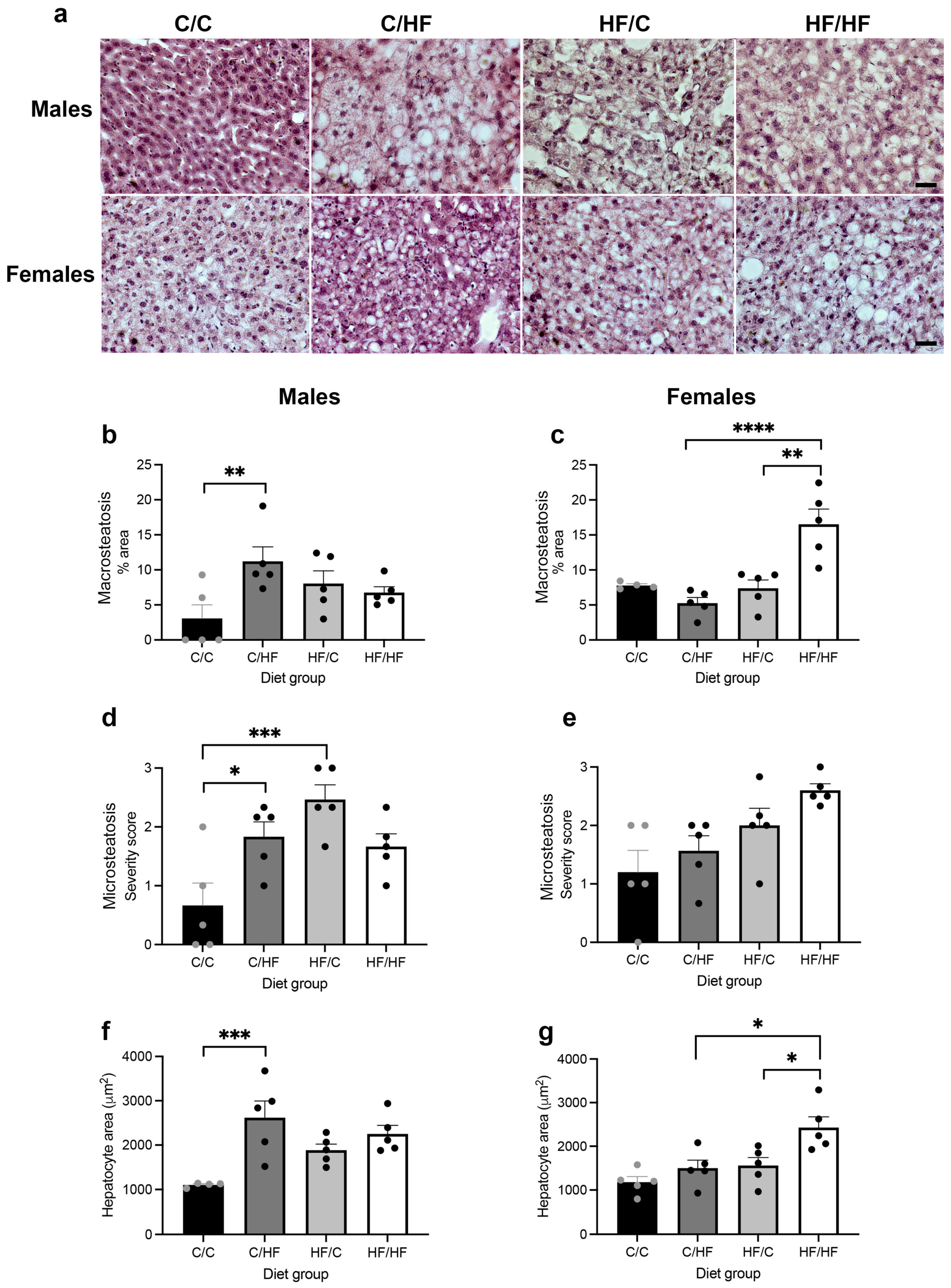 Nutrients 16 02805 g003