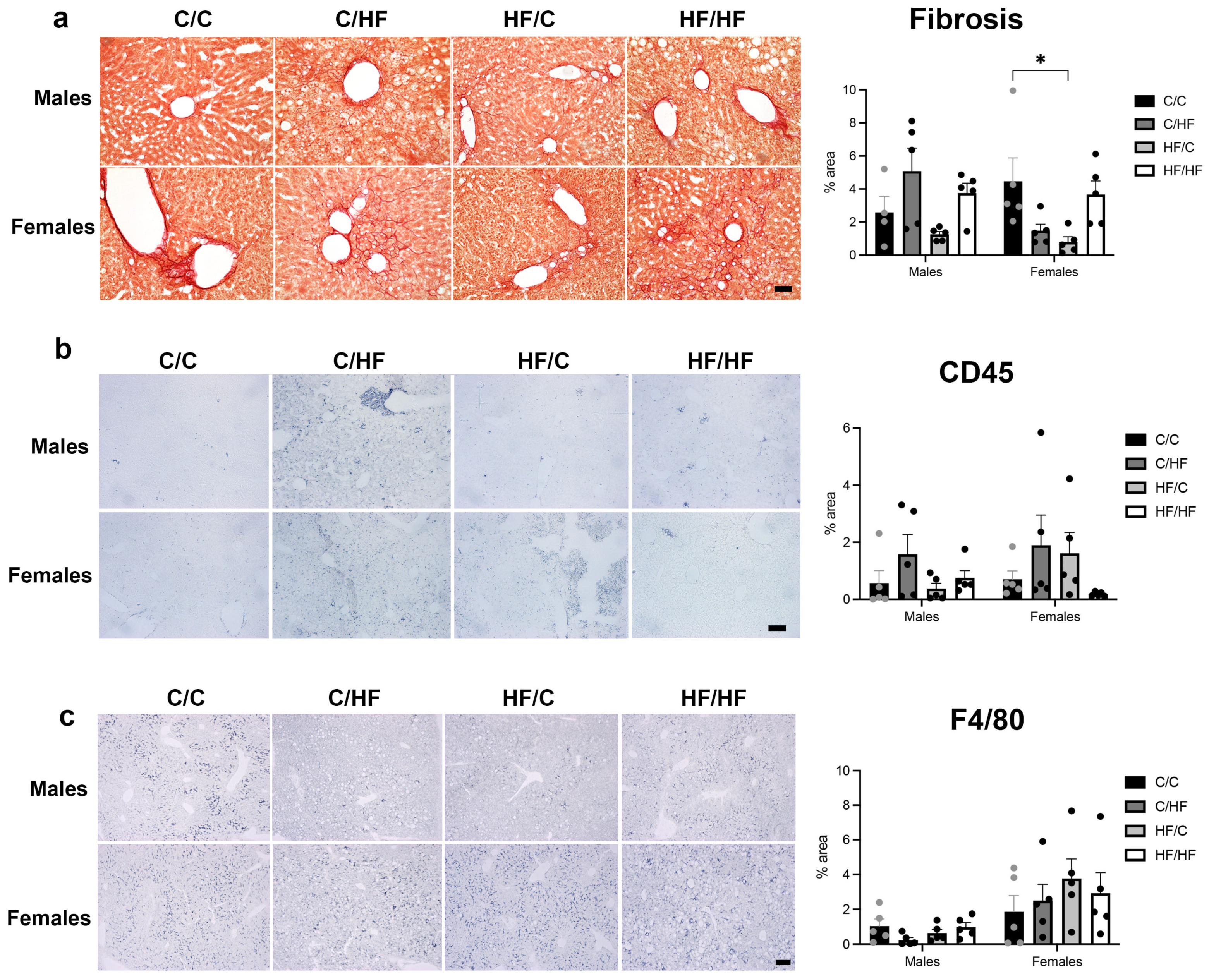 Nutrients 16 02805 g004