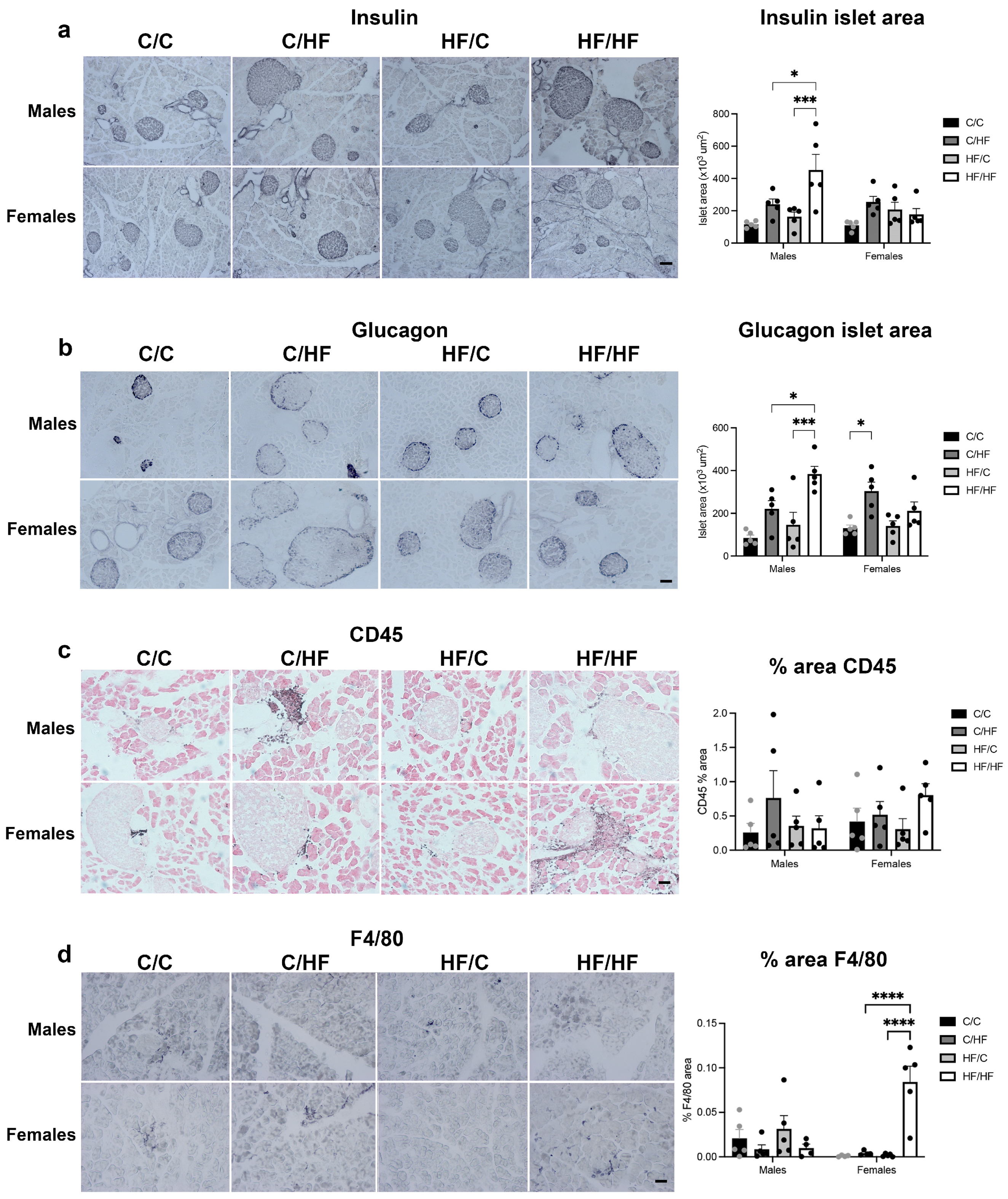 Nutrients 16 02805 g006
