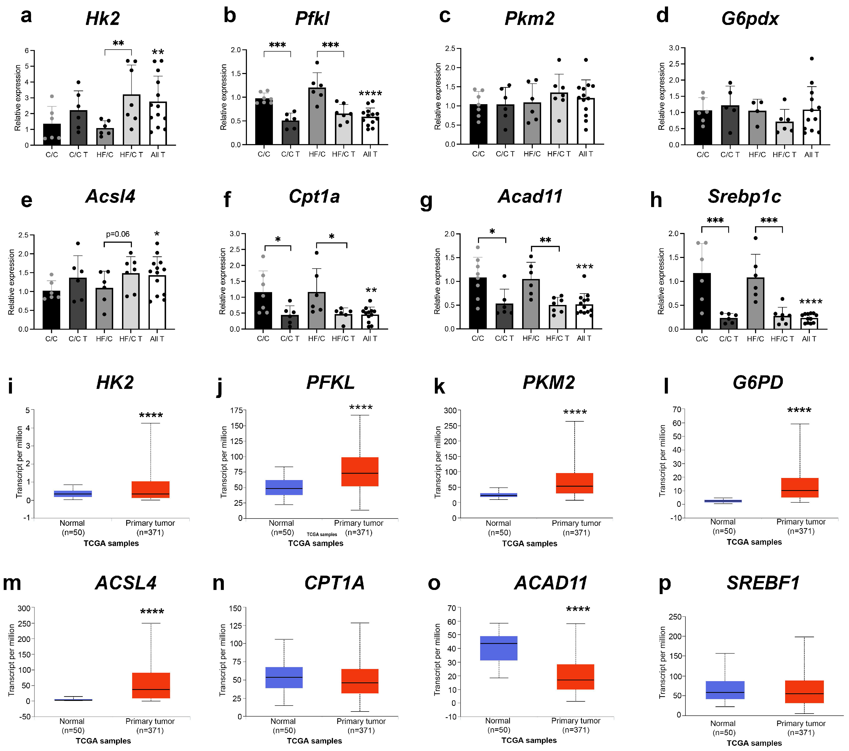 Nutrients 16 02805 g008
