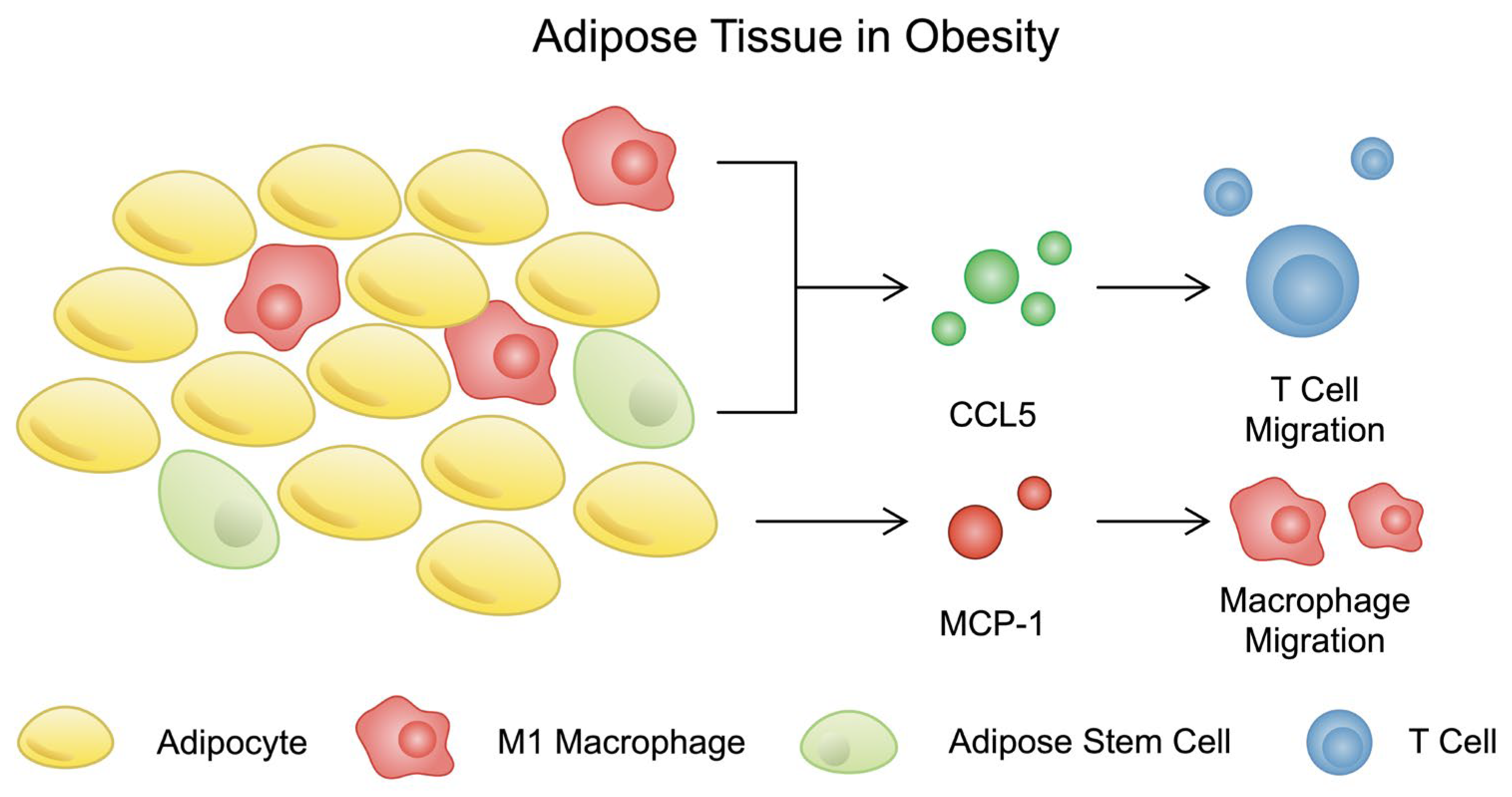 Nutrients 16 02822 g003