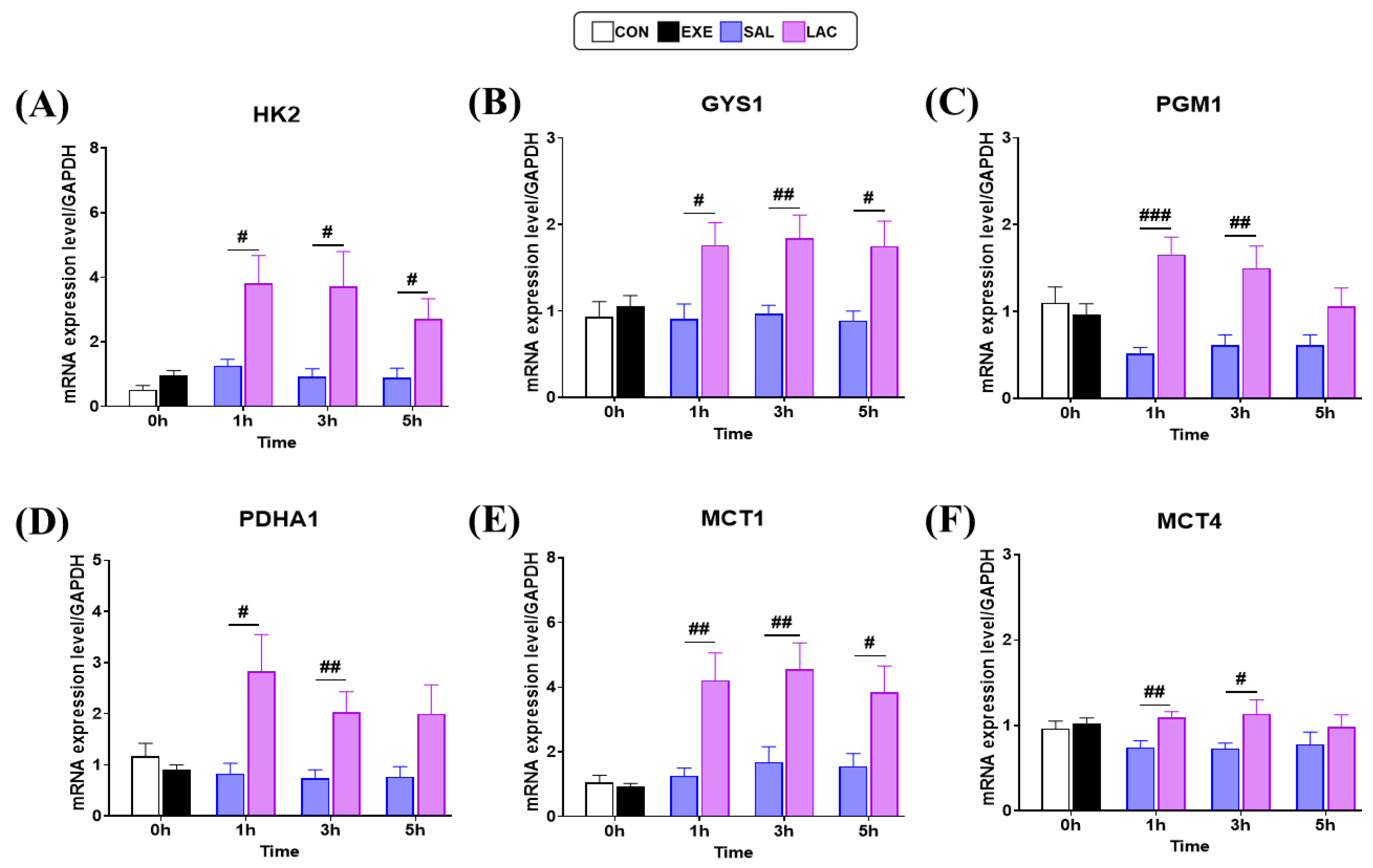 Nutrients 16 02831 g005