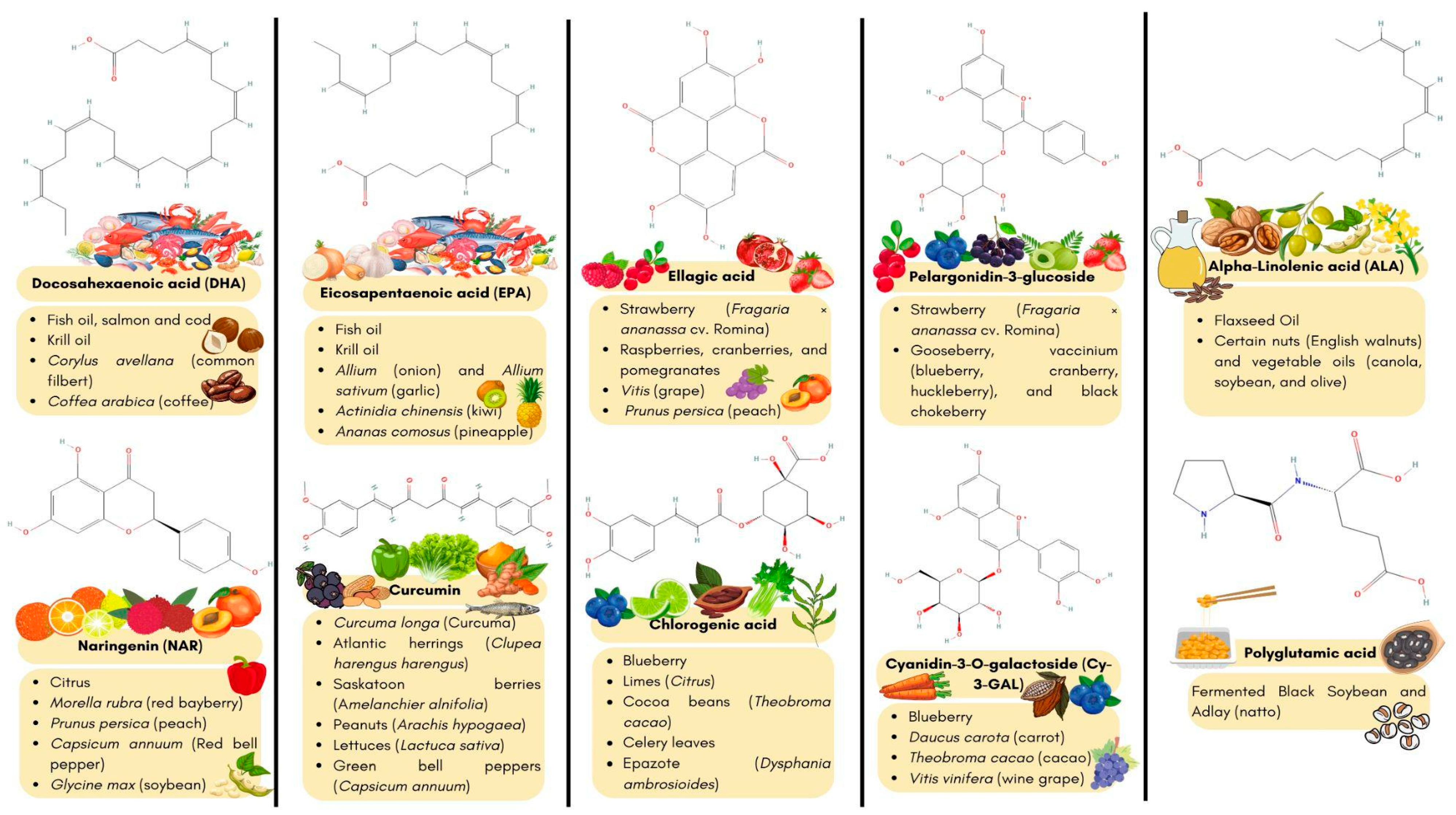 Nutrients 16 02835 g001 Nutrients 16 02835 g001