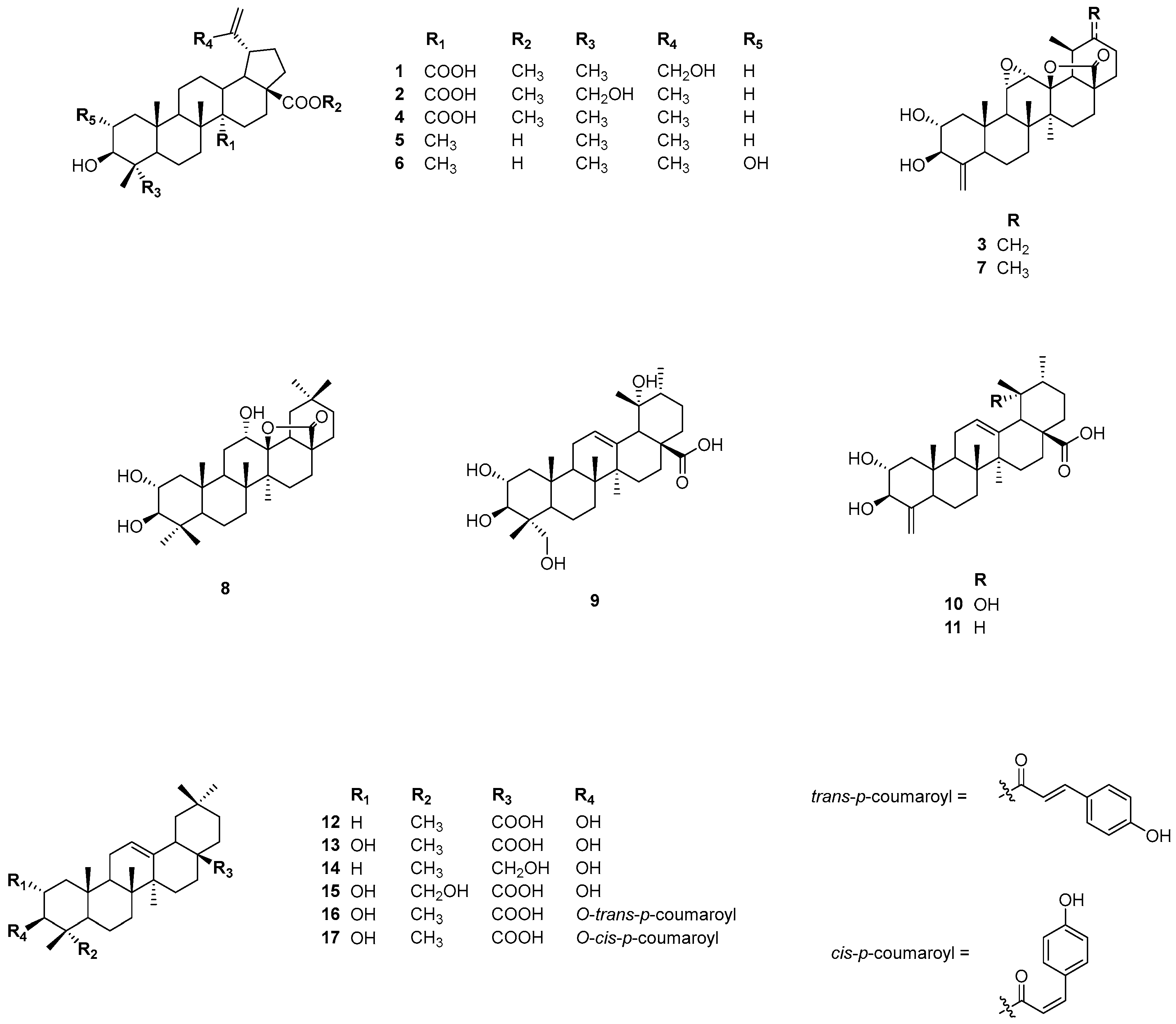 Nutrients 16 02839 g001