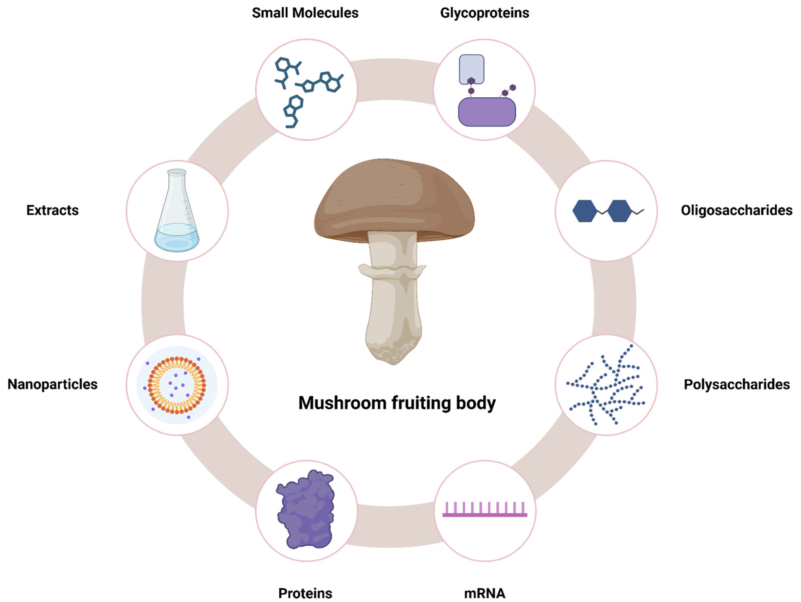 Nutrients 16 02849 g014