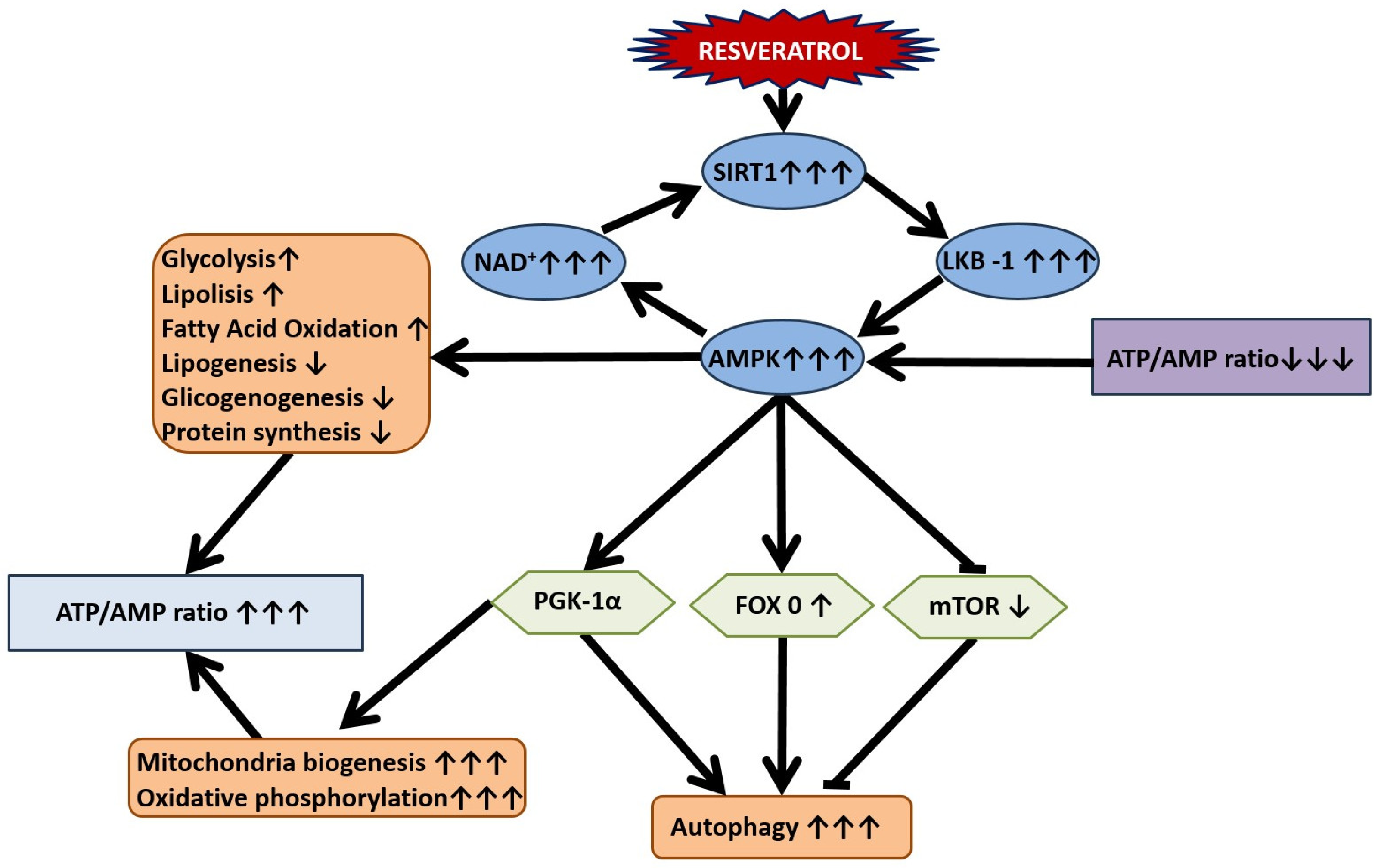 Nutrients 16 02856 g003