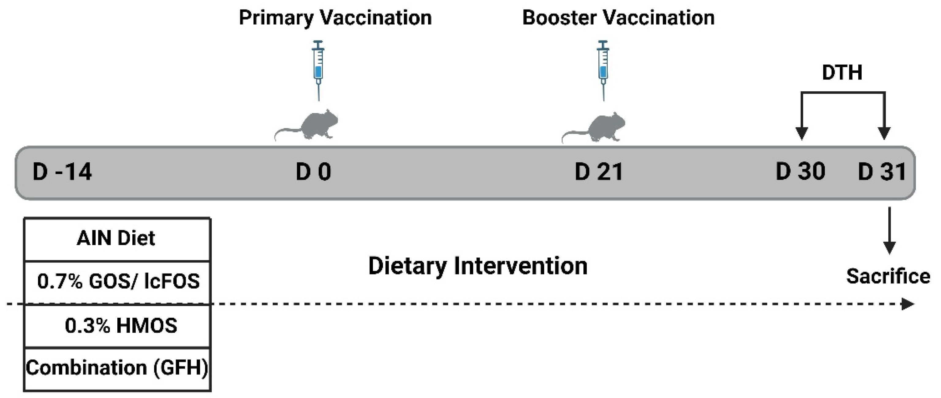 Nutrients 16 02858 g001