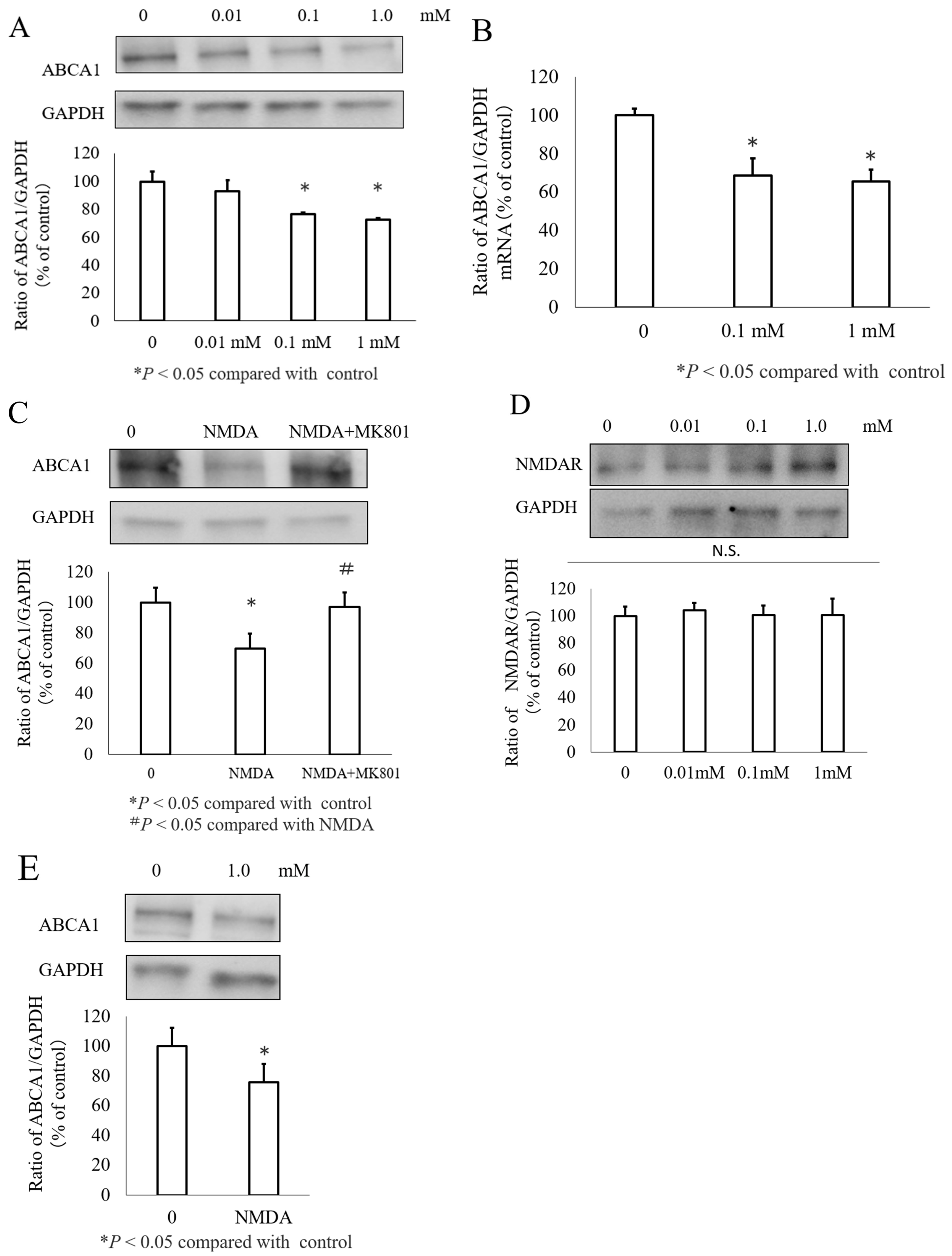 Nutrients 16 02865 g001 Nutrients 16 02865 g001