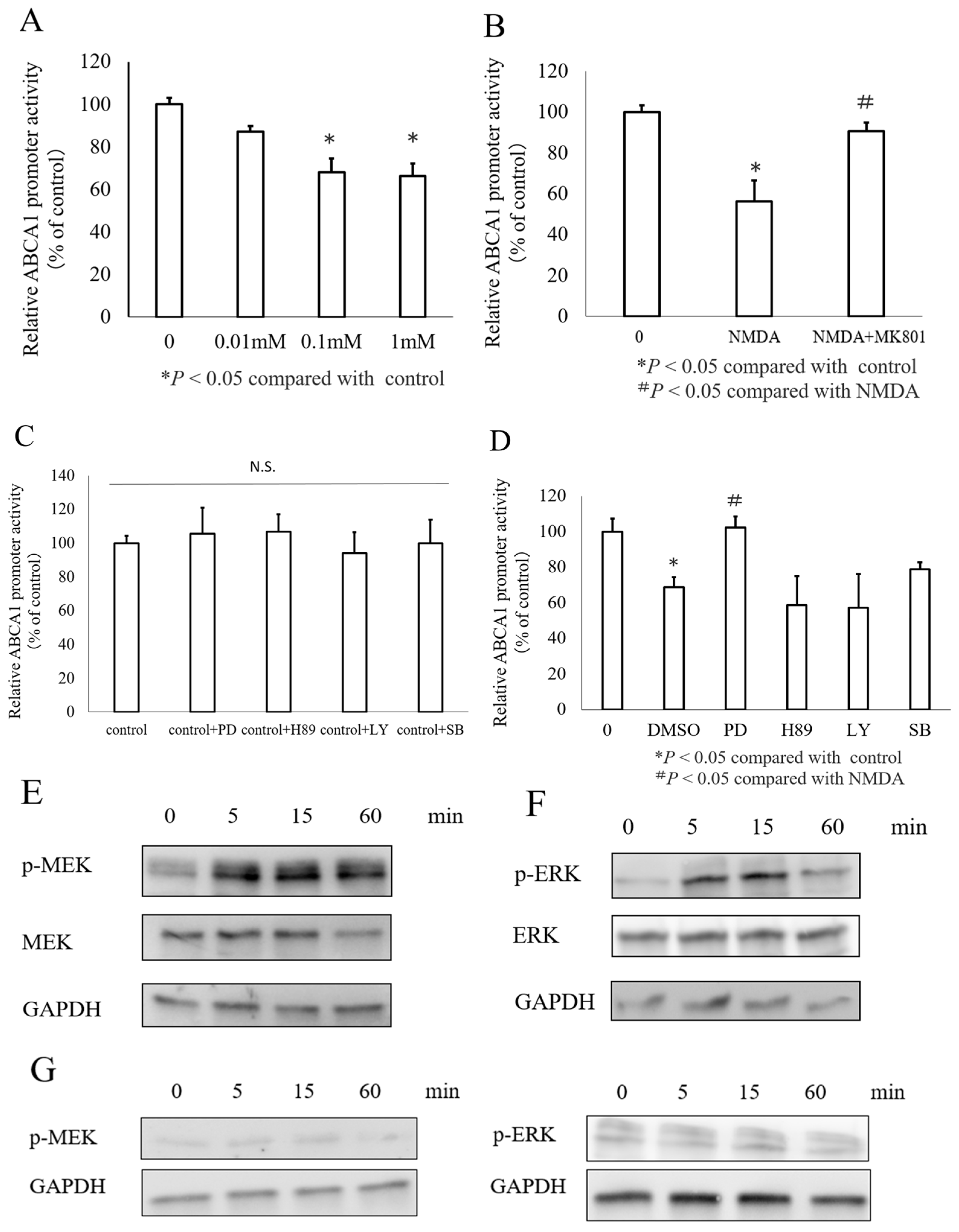 Nutrients 16 02865 g002 Nutrients 16 02865 g002