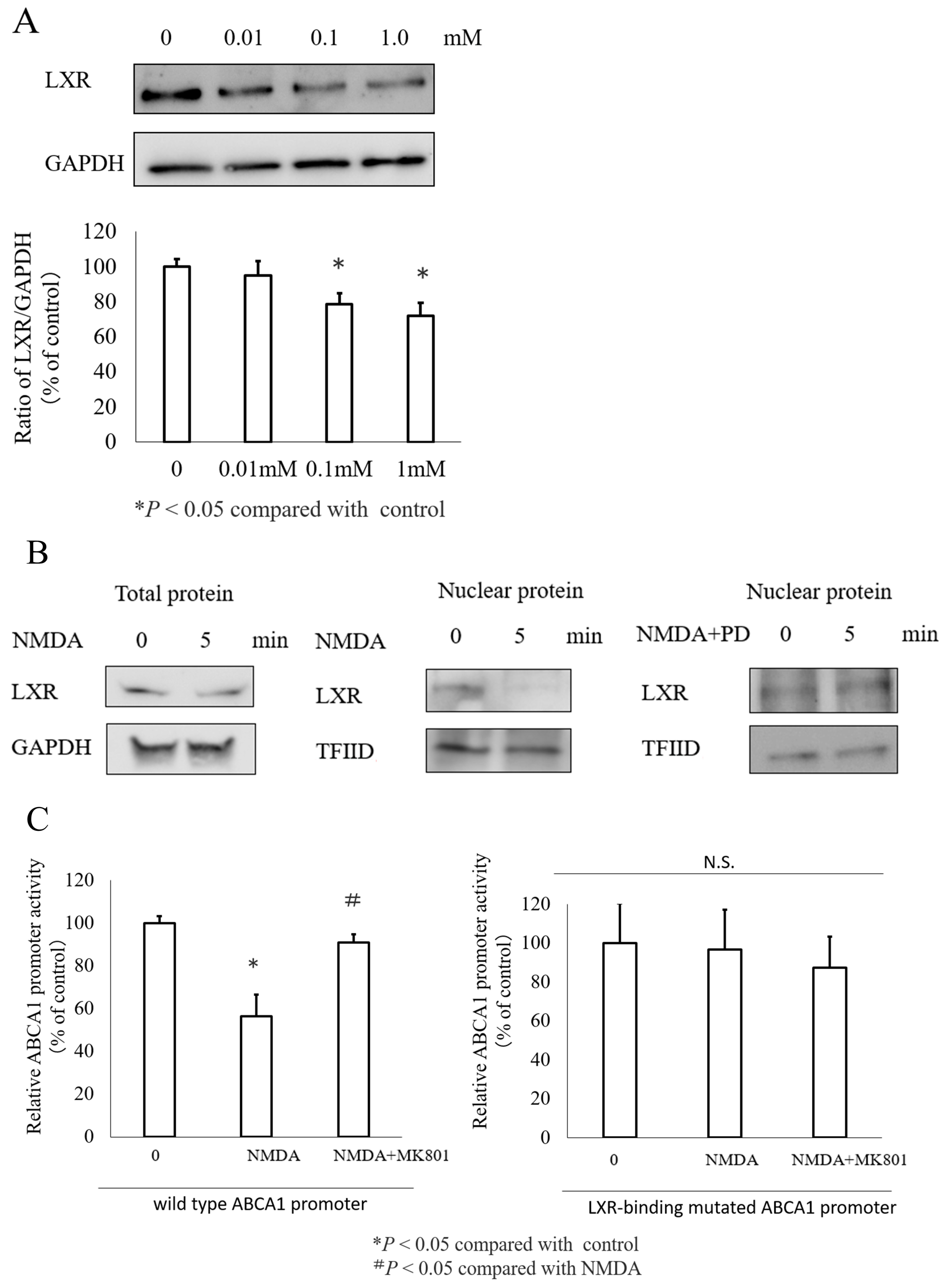 Nutrients 16 02865 g005 Nutrients 16 02865 g005
