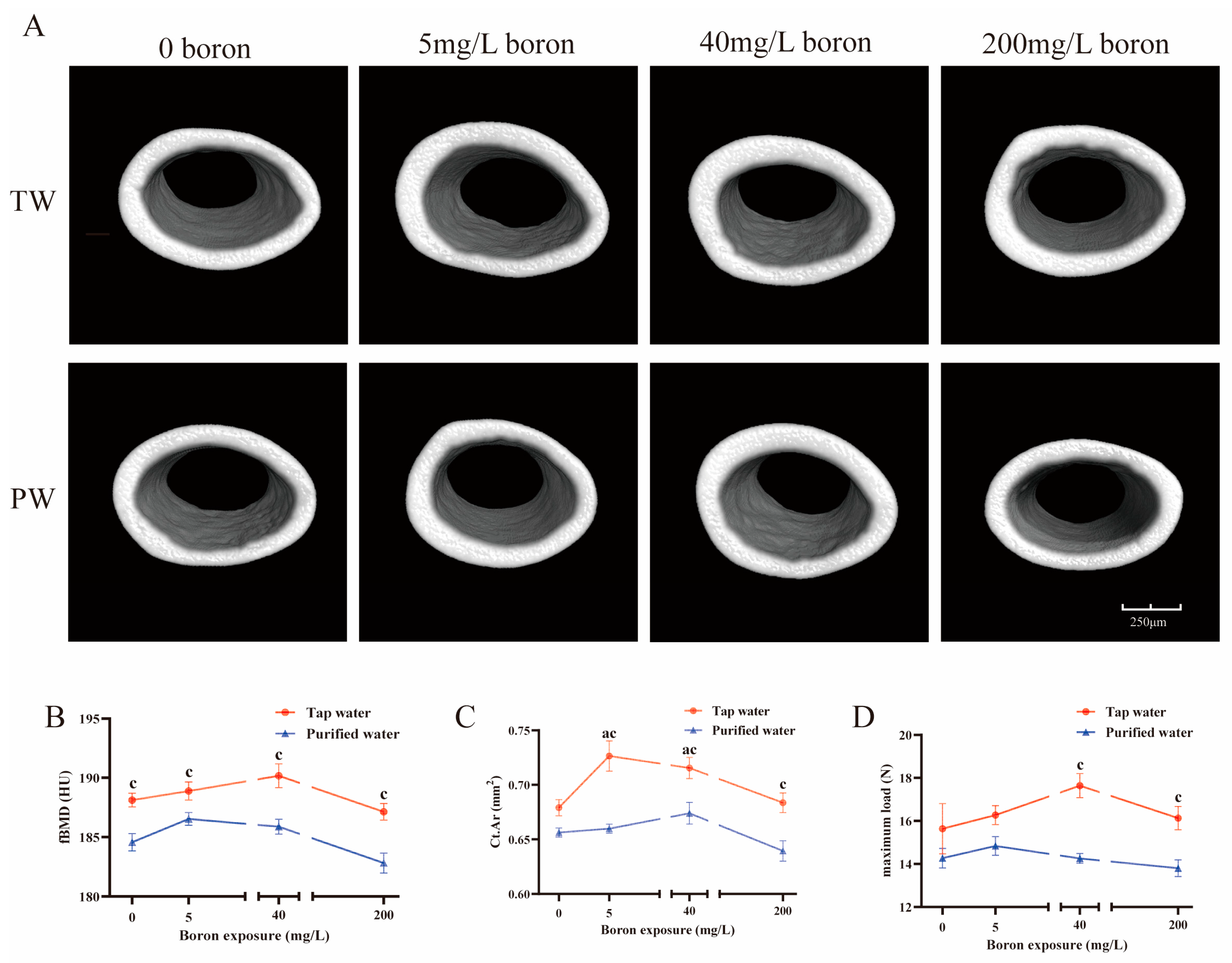 Nutrients 16 02881 g002