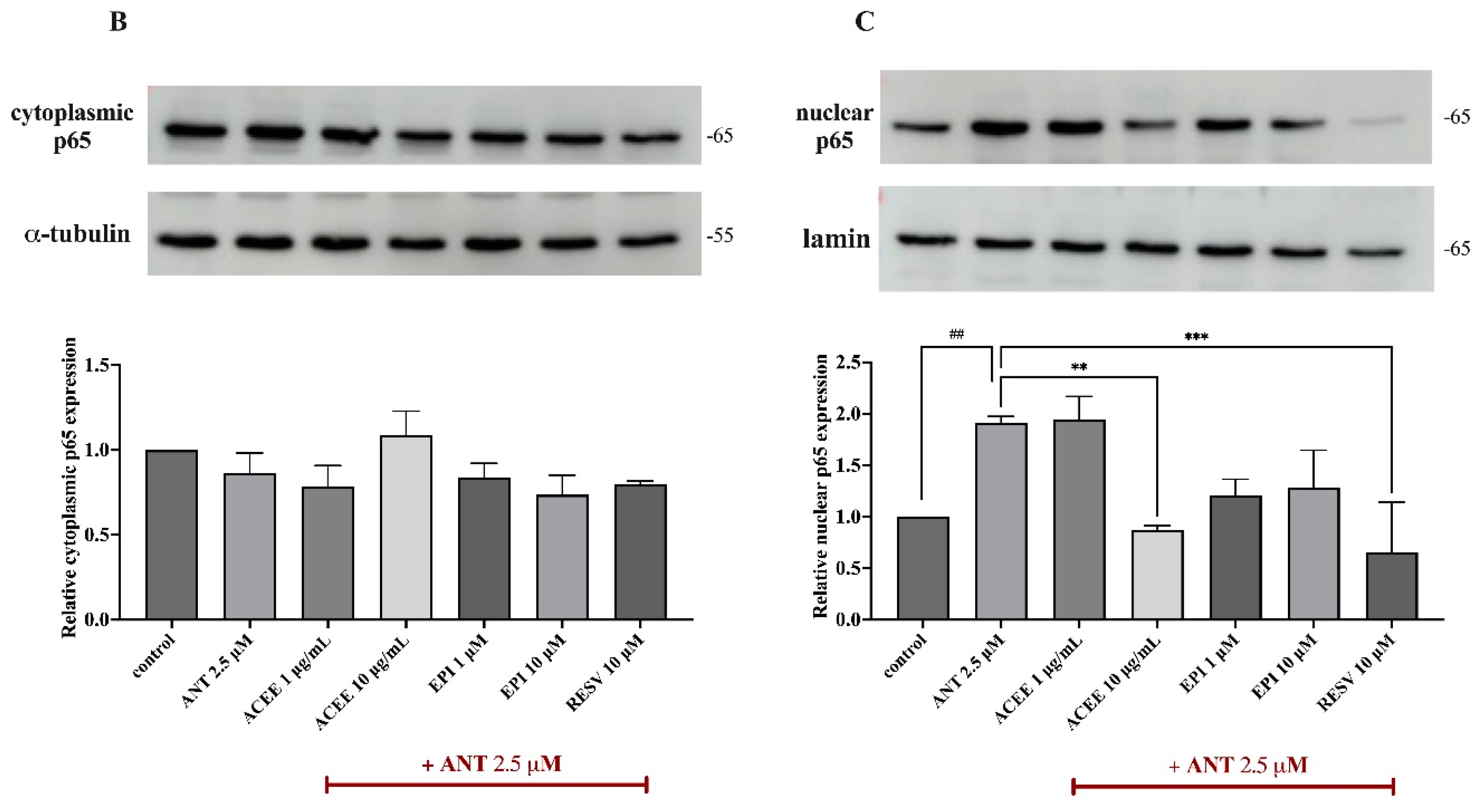 Nutrients 16 02882 g007b