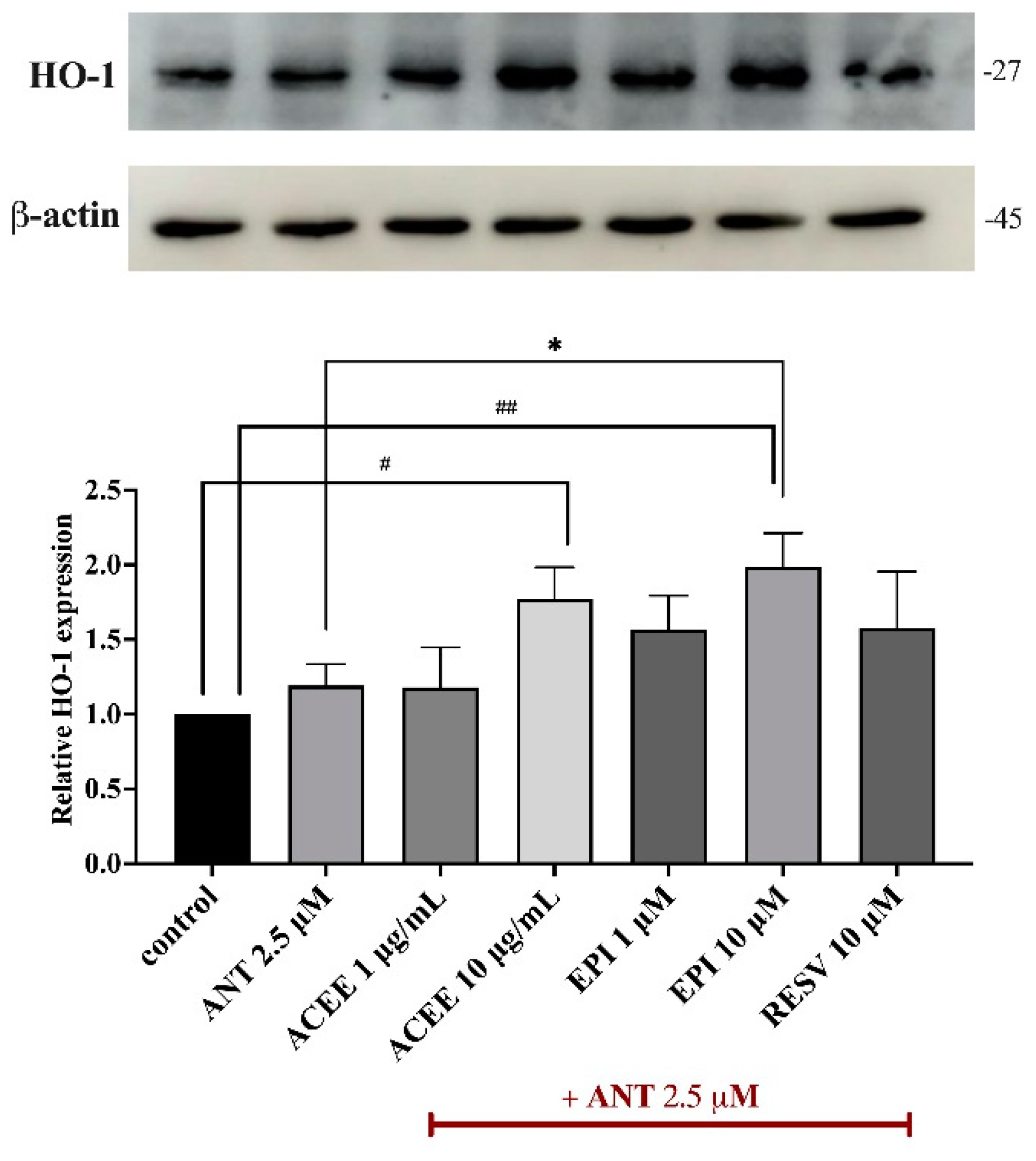 Nutrients 16 02882 g008