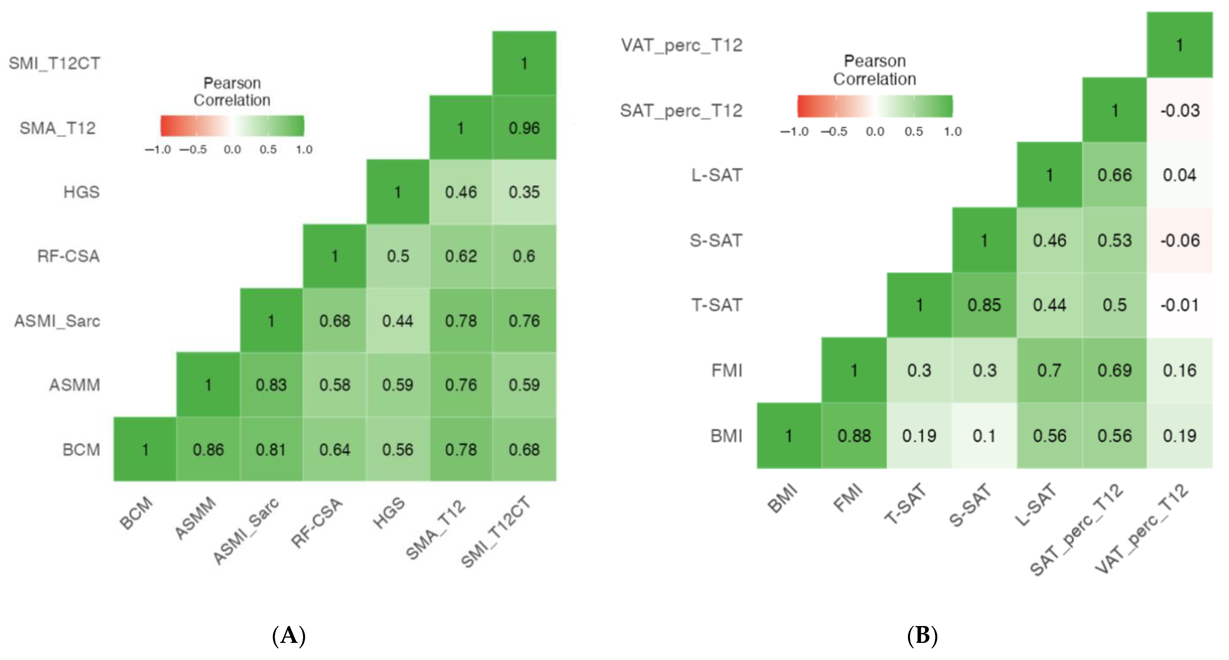 Nutrients 16 02885 g003