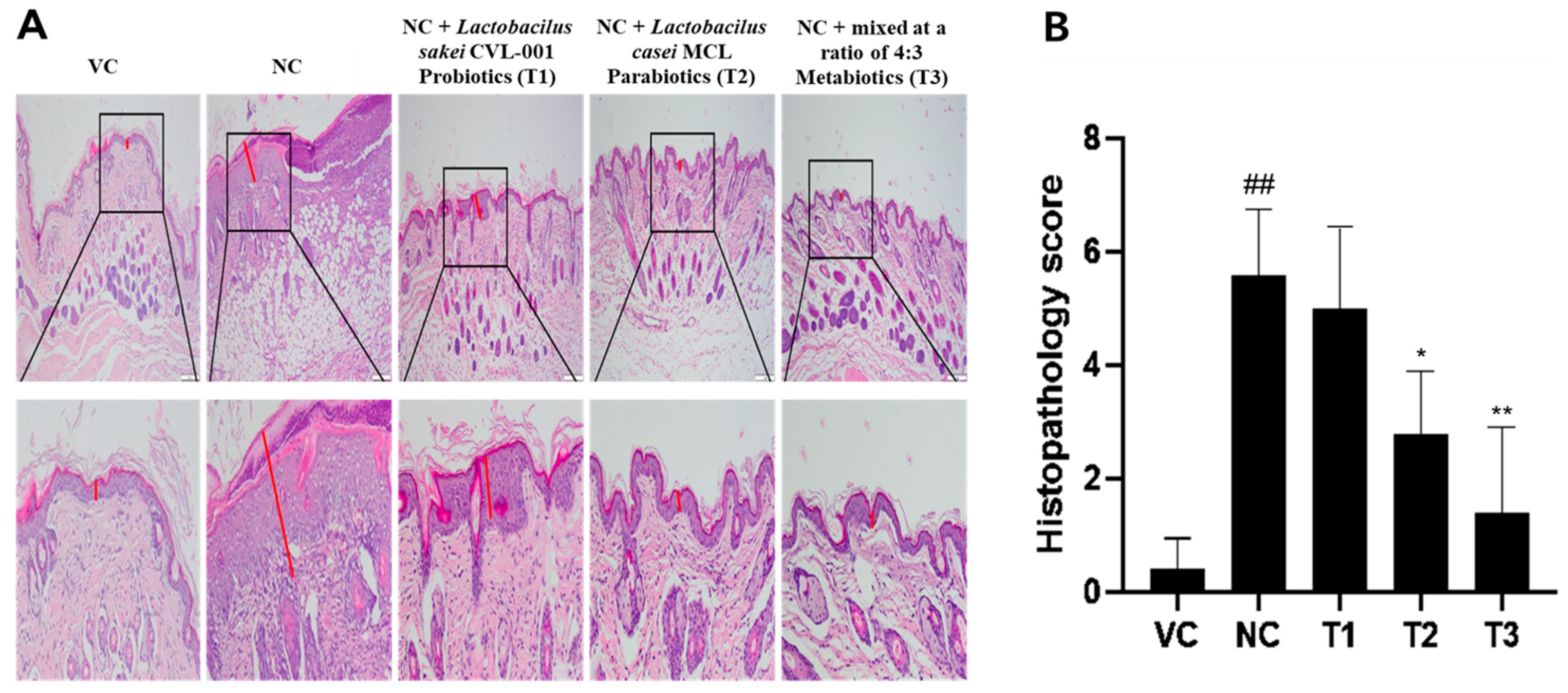 Nutrients 16 02903 g001