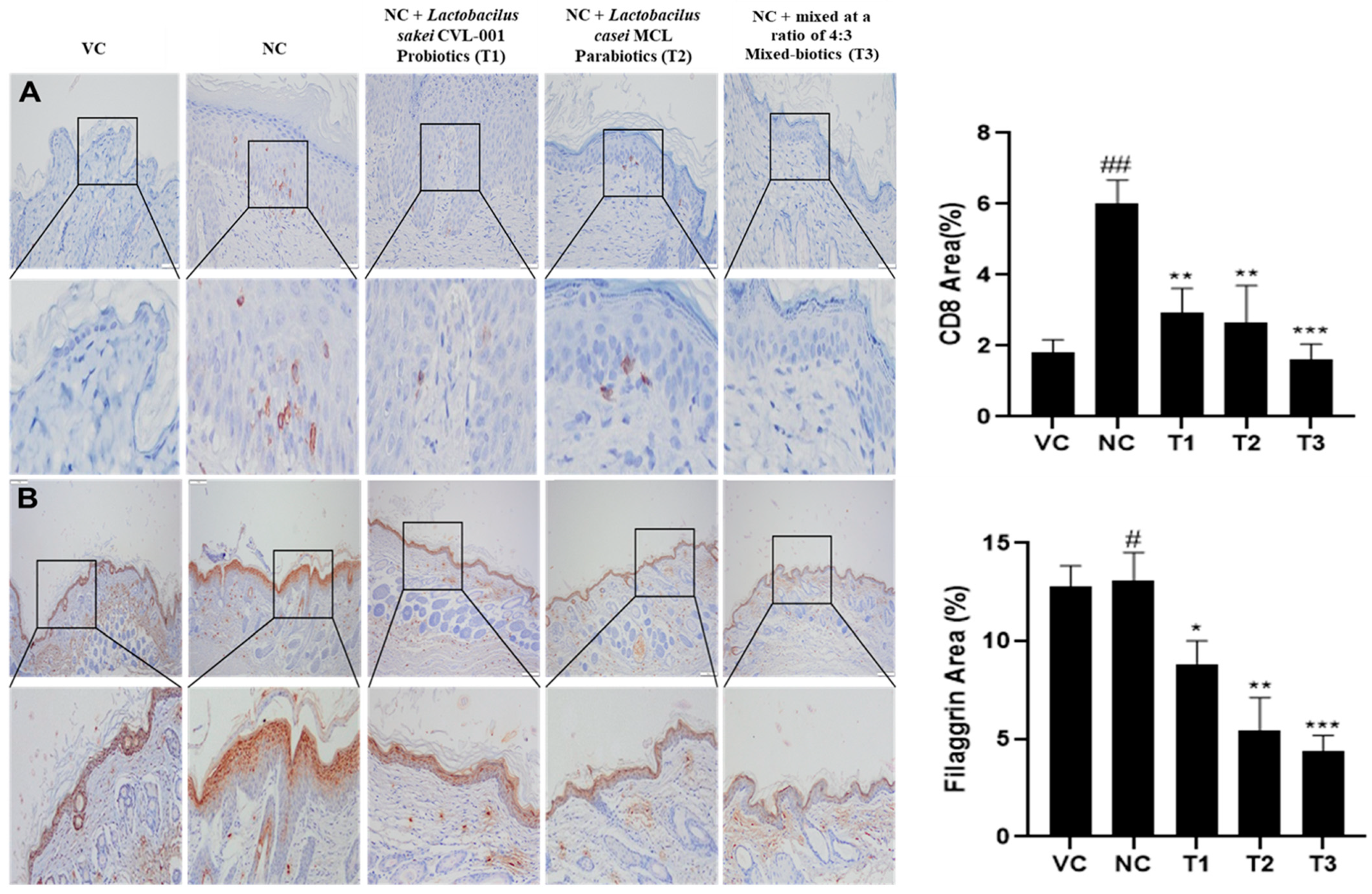 Nutrients 16 02903 g002