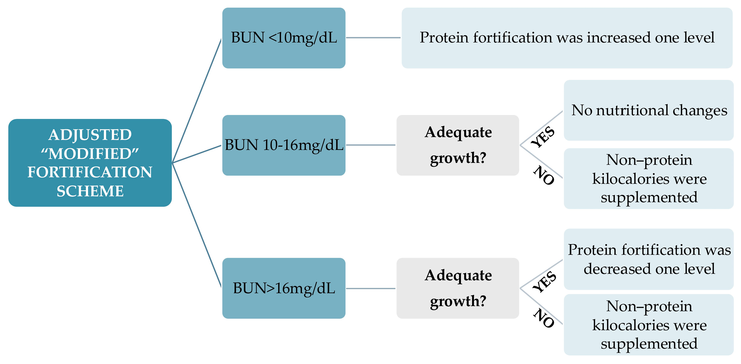 Nutrients 16 02904 g001