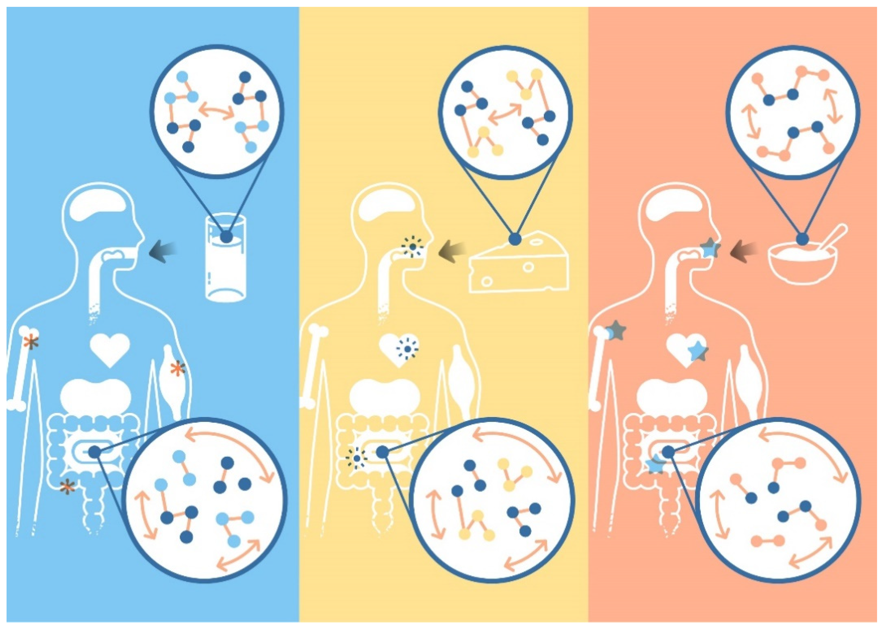 Nutrients 16 02908 g001
