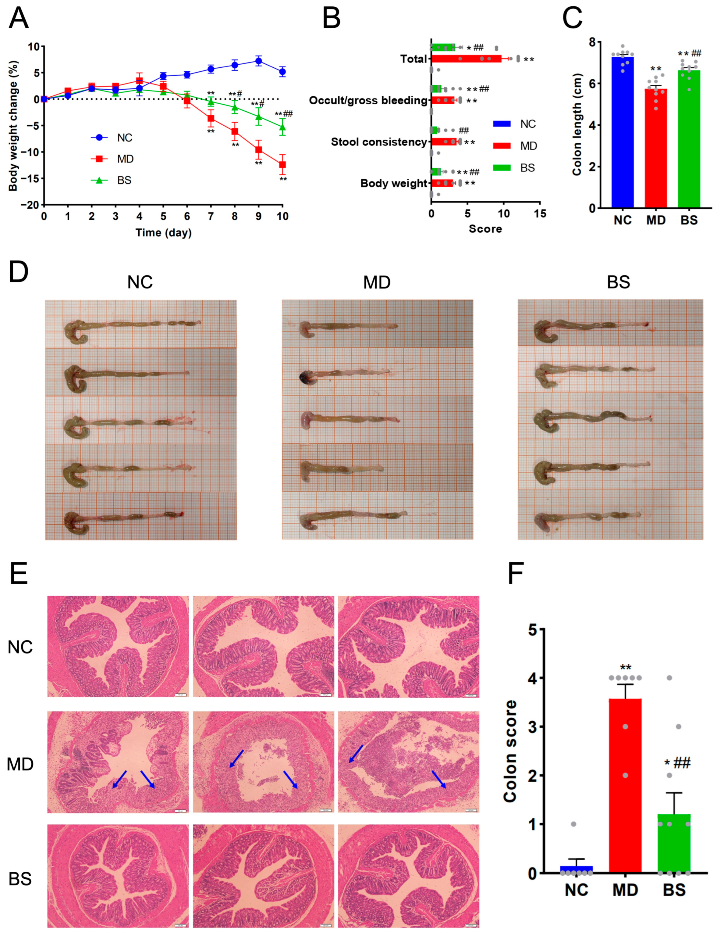 Nutrients 16 02918 g001