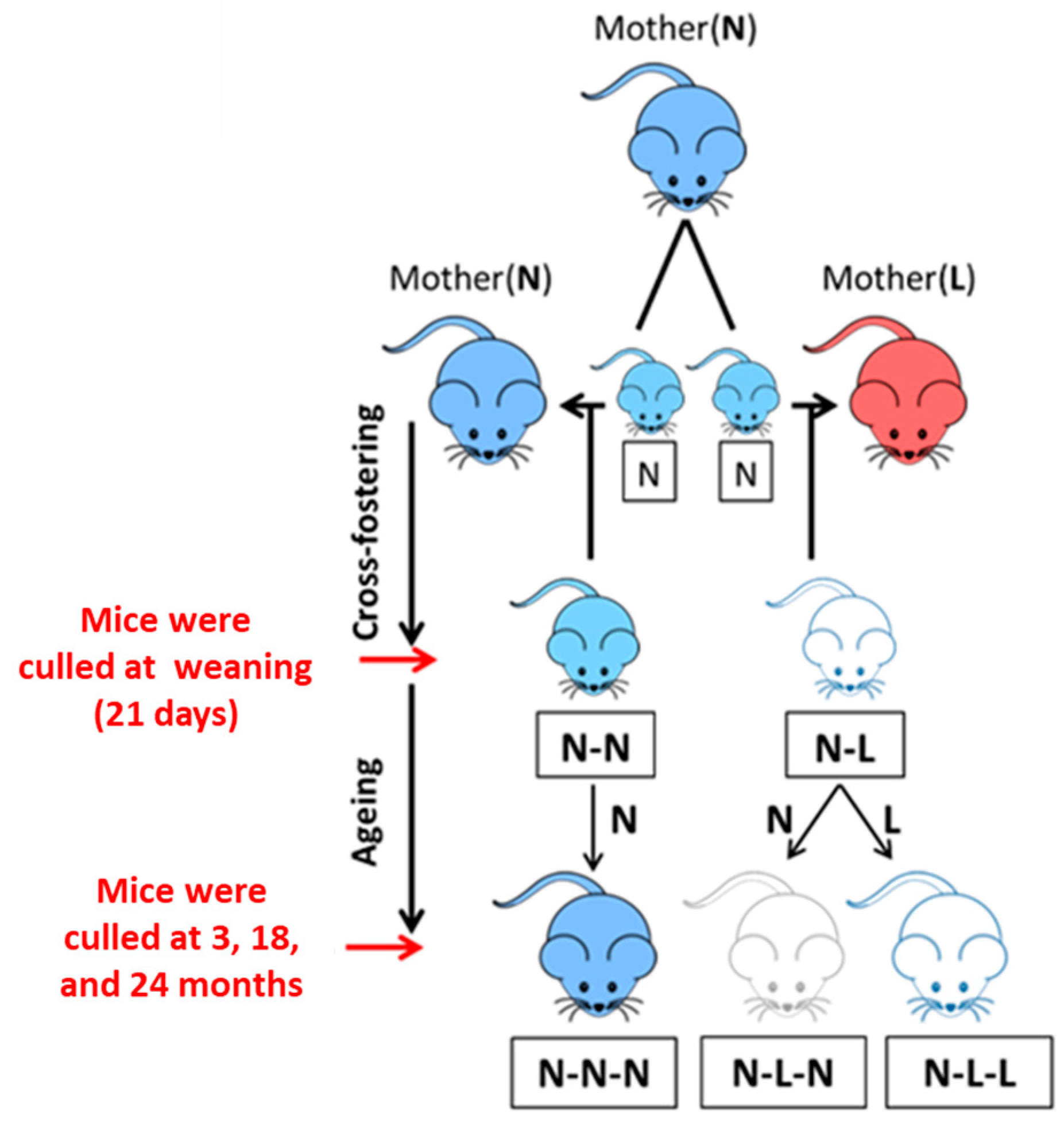 Nutrients 16 02926 g001 Nutrients 16 02926 g001