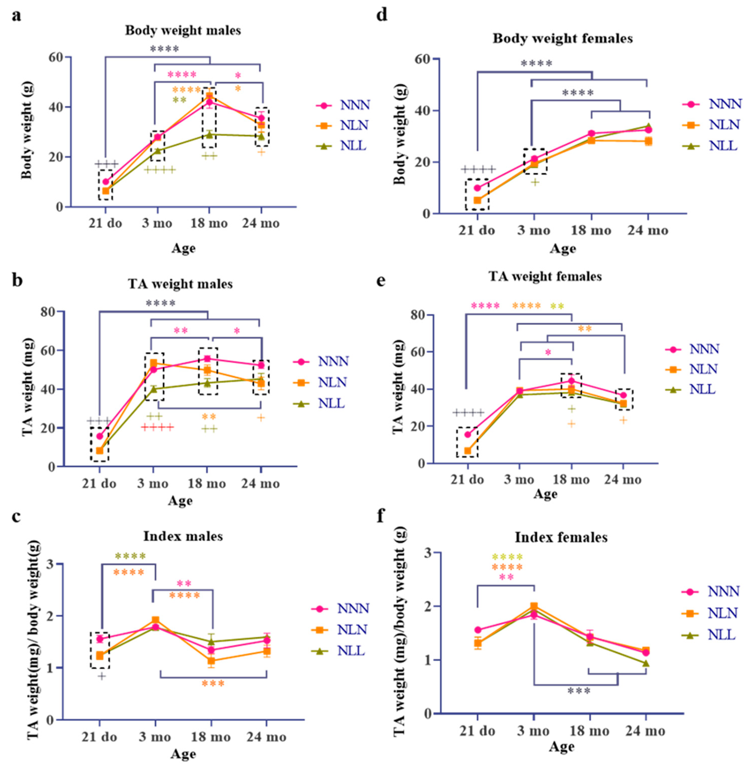 Nutrients 16 02926 g002 Nutrients 16 02926 g002