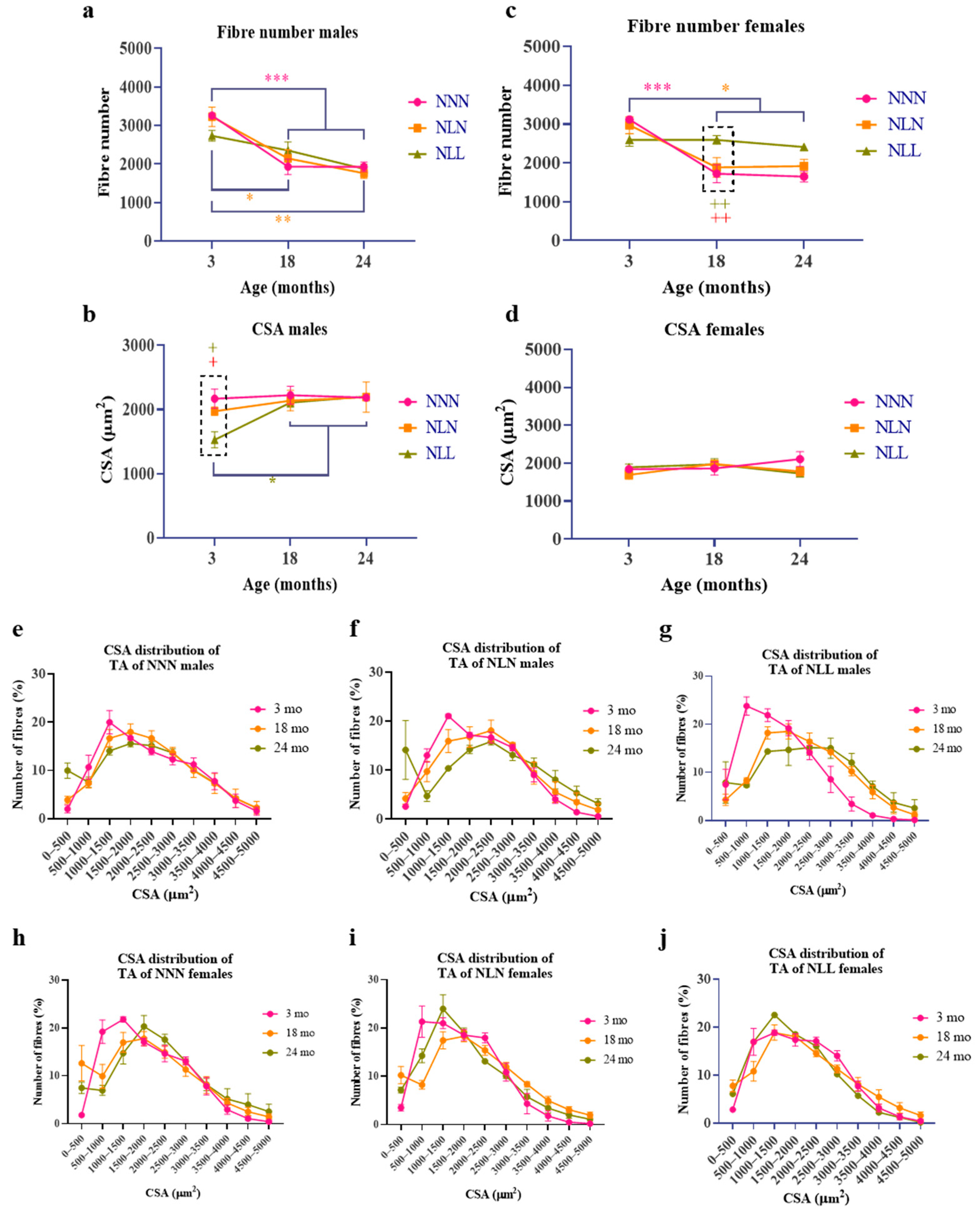 Nutrients 16 02926 g003 Nutrients 16 02926 g003