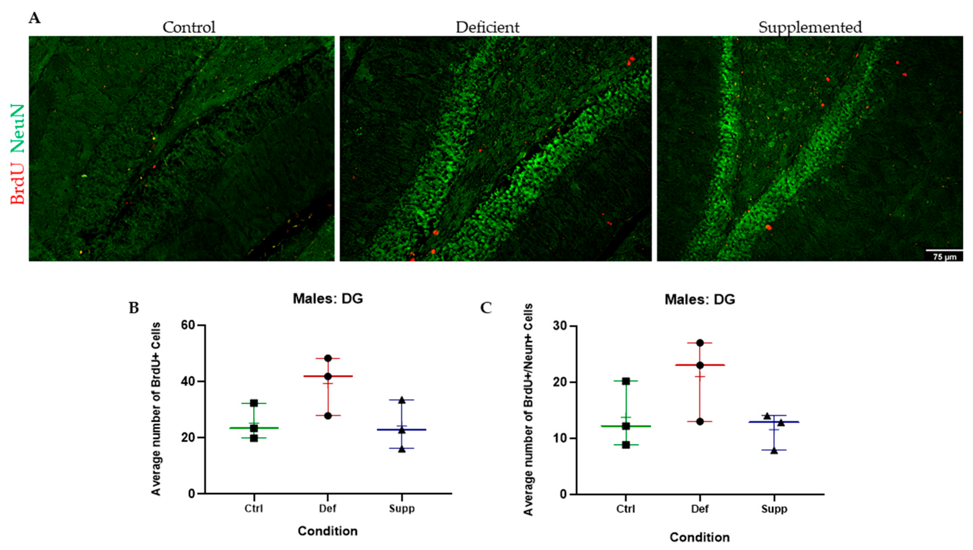 Nutrients 16 02938 g005 Nutrients 16 02938 g005